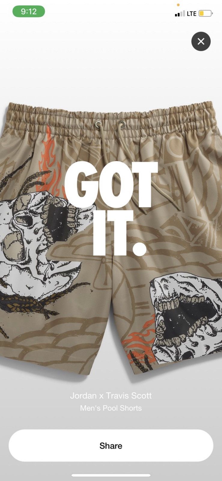 Travis Scott (SIZE L) Travis Scott Cactus Jack x Jordan Pool Short