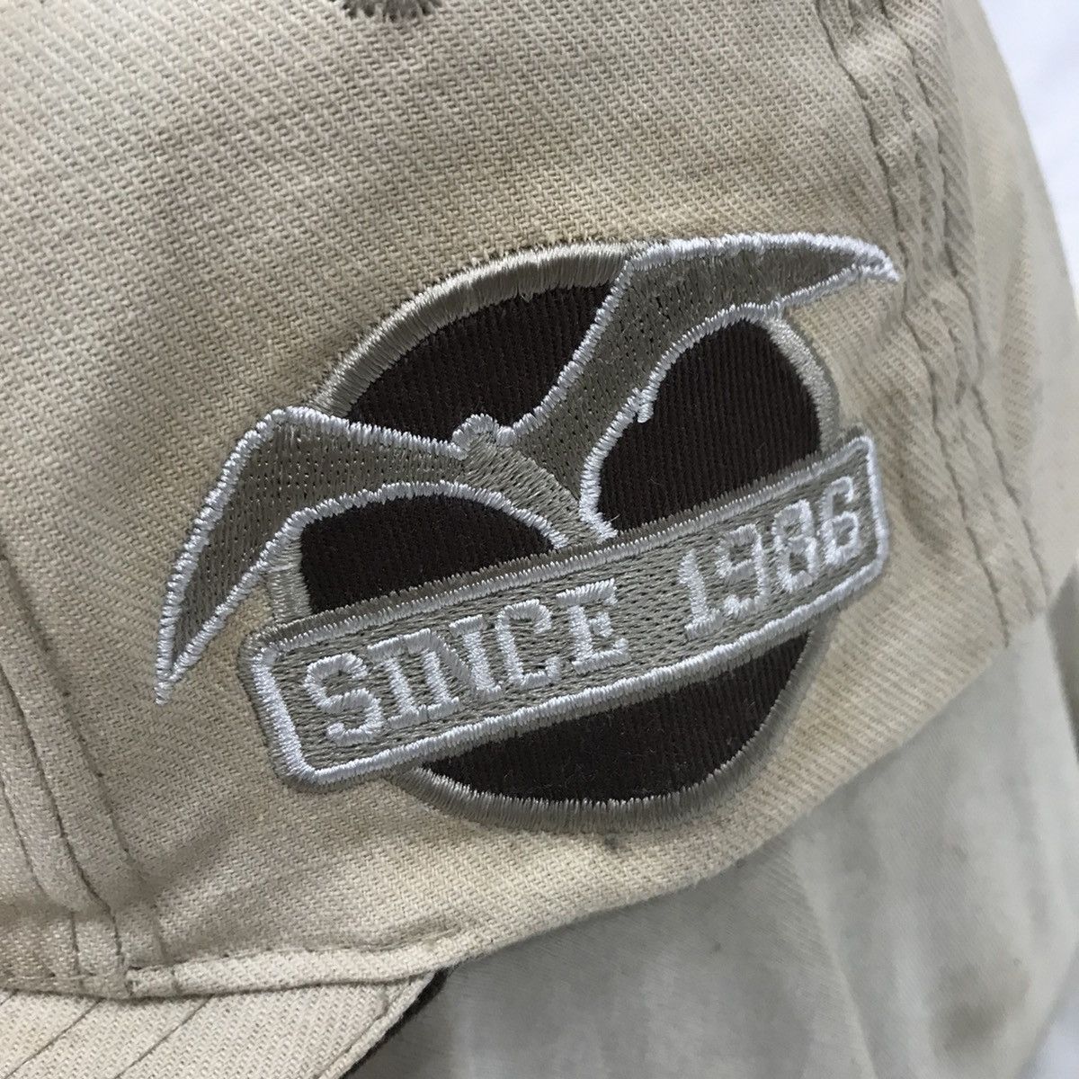 Airwalk Famous Team Hats Caps