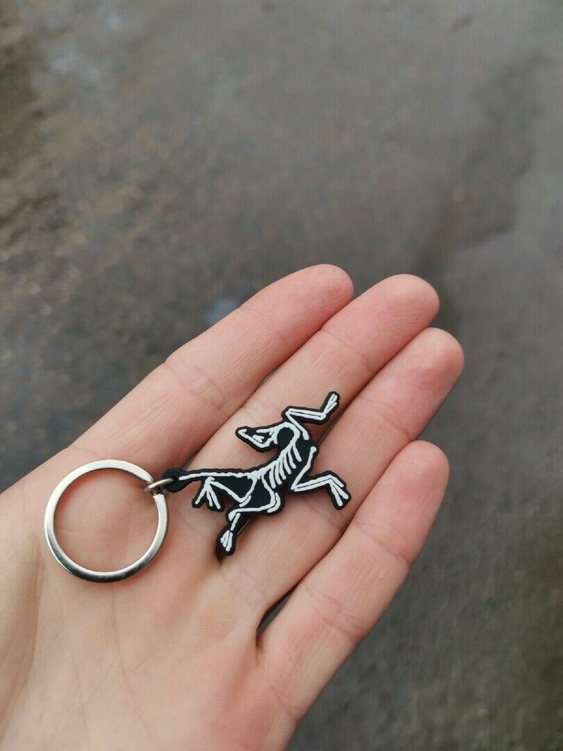 Arc'teryx × Patagonia Arcteryx Trinket Key Keychain Badges