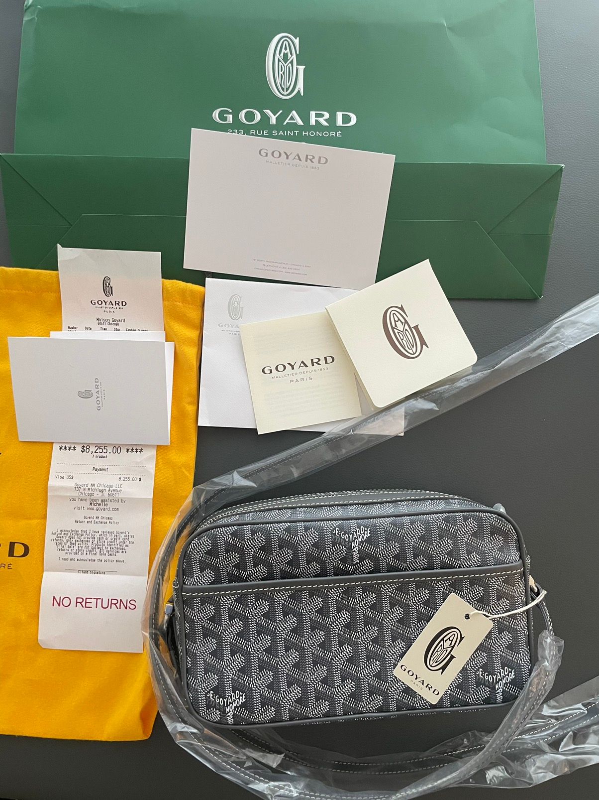 Goyard Extremely Limited Iconic Cap Vert Camera Bag Brand New Rare