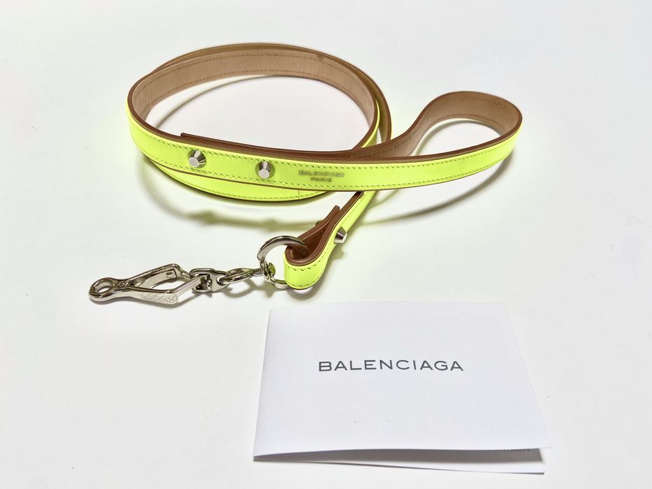 Balenciaga best sale dog leash