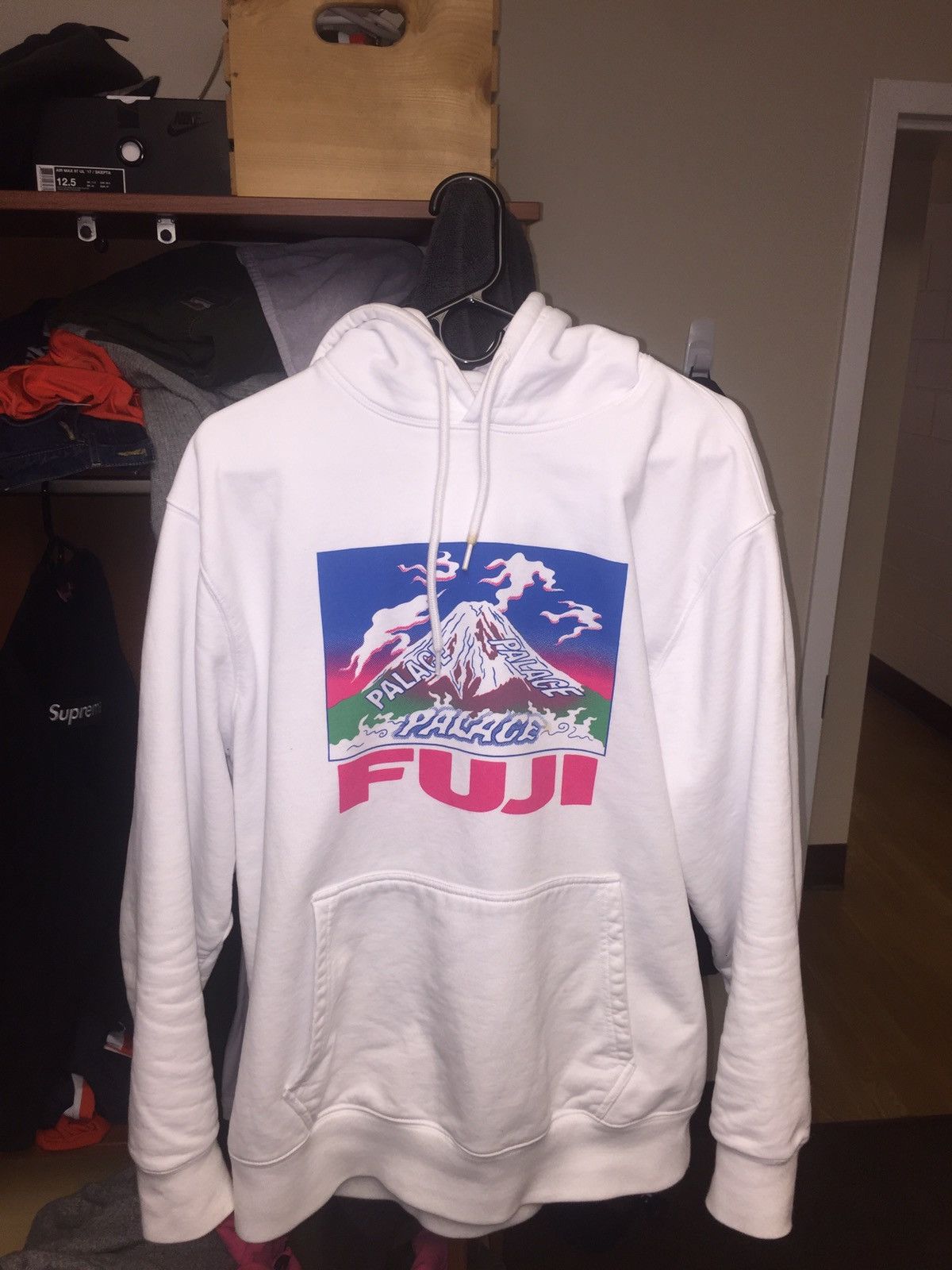 Palace fuji outlet hoodie