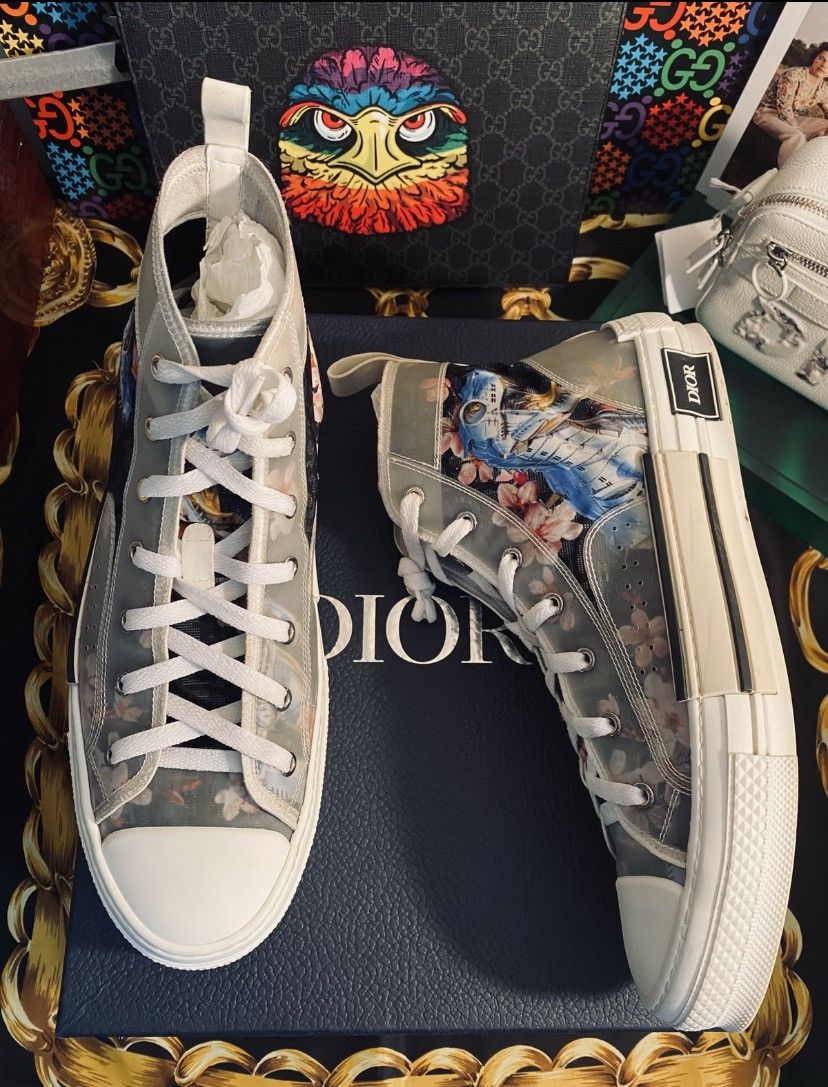 dior b23 high canvas sorayama dinosaur