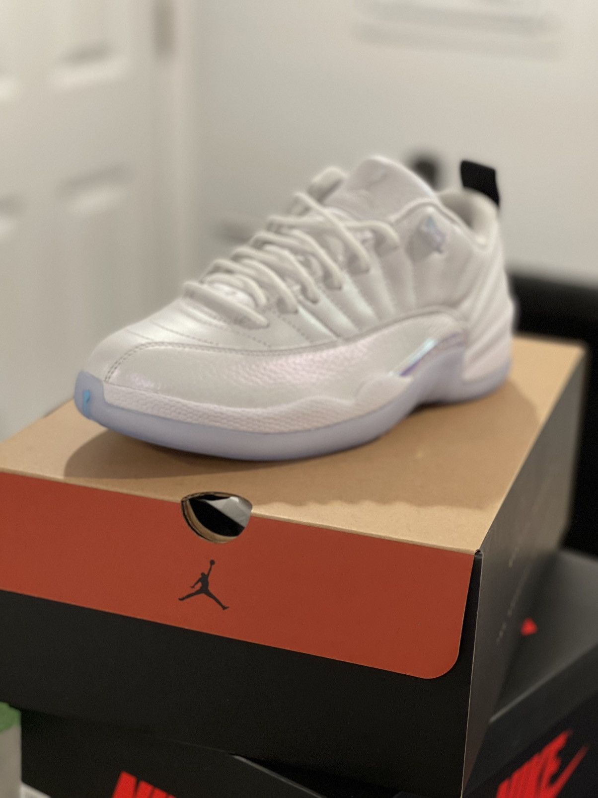 low top jordan 12 easter