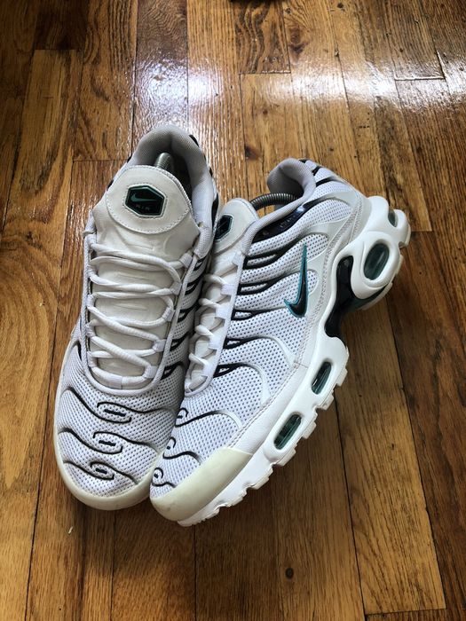 Tn clearance dusty cactus