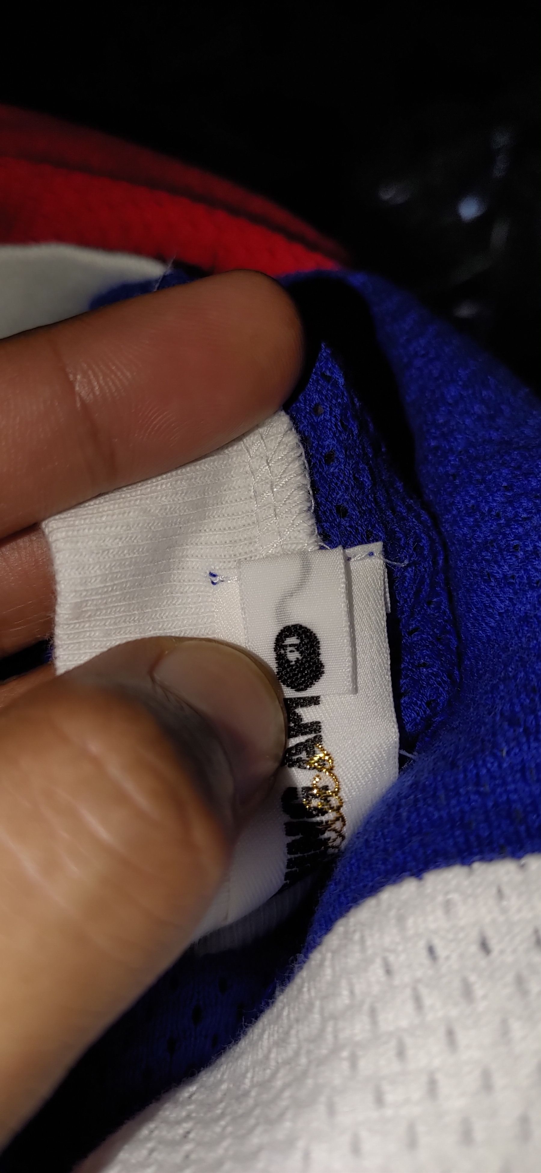 Bape × Nike Bathing Ape BMX Tricolour Mesh Size US M / EU 48-50 / 2 - 9 Thumbnail