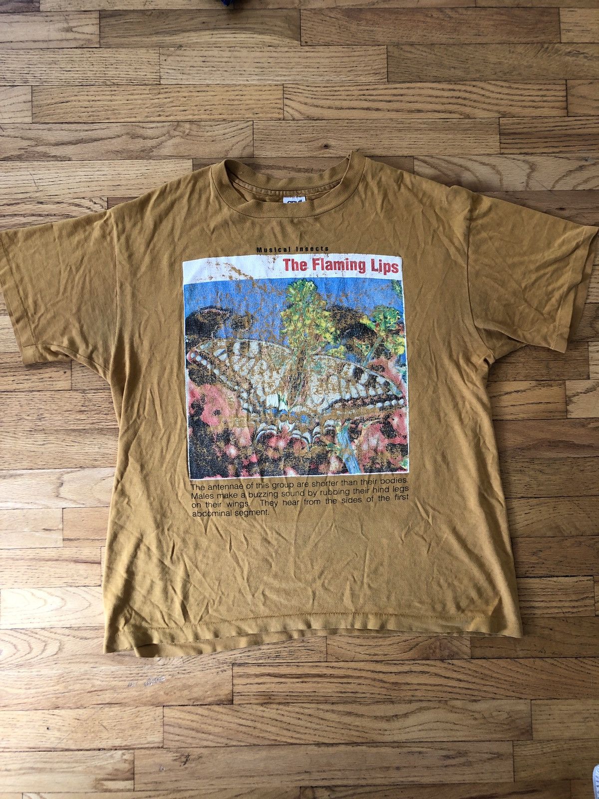 【The flaming lips】Musical Insect 90s tee The flaming lips】Musical Insect 90s tee The Flaming Lips