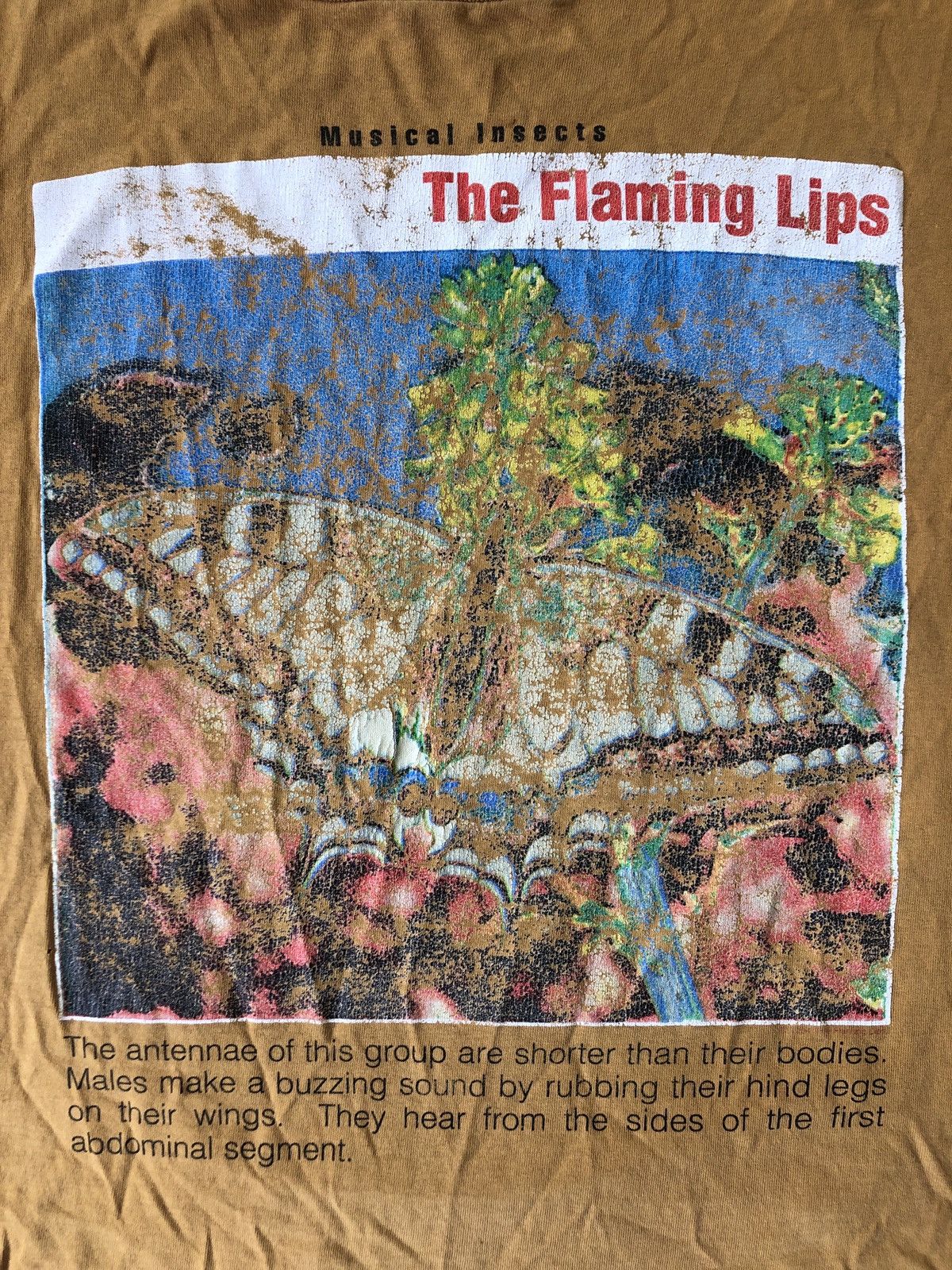 THE FLAIMING LIPS MUSICUL INSECTS VTG T