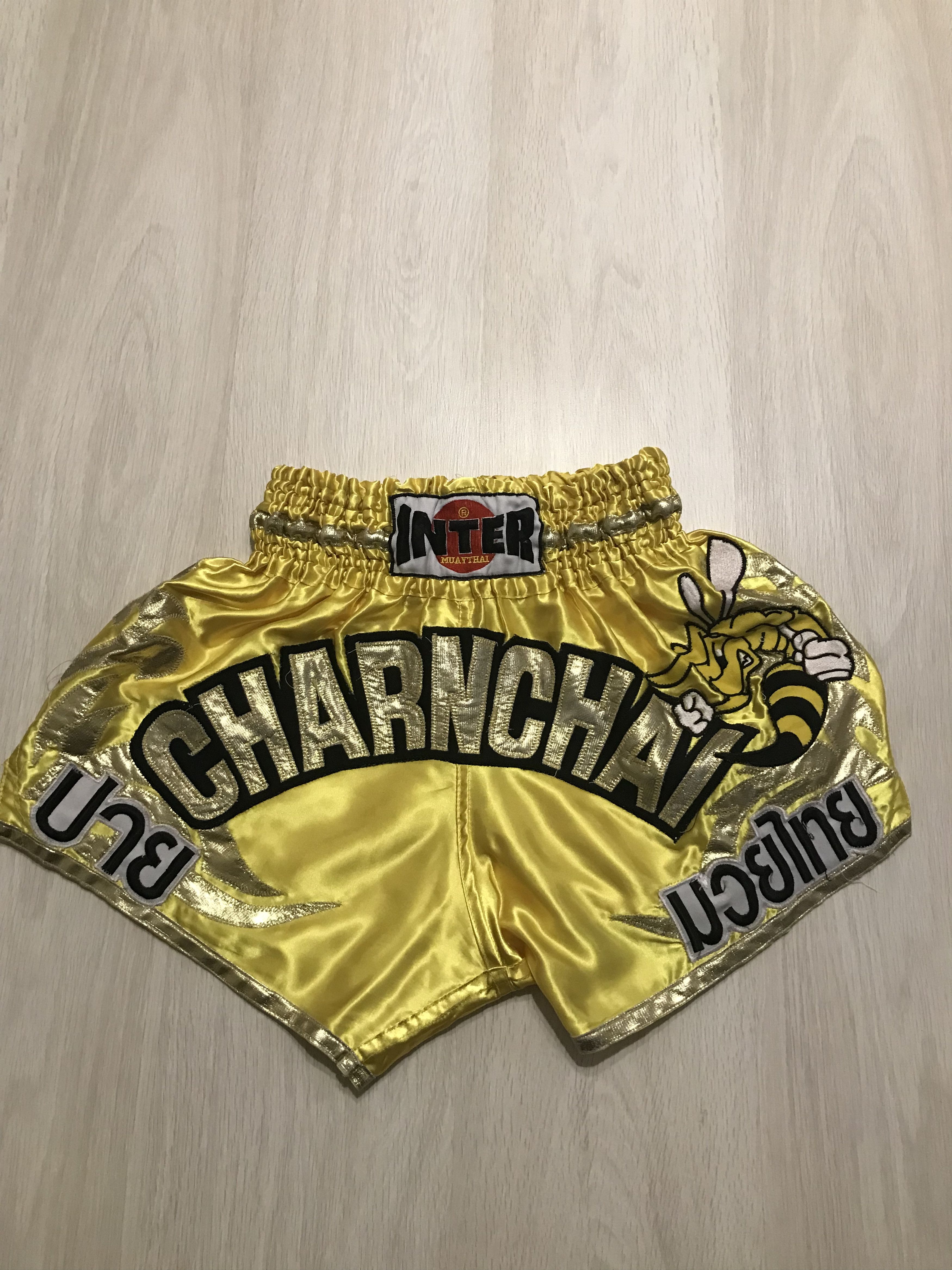 Feather Vintage Watercolor Print Pattern Muay Thai Boxing Shorts