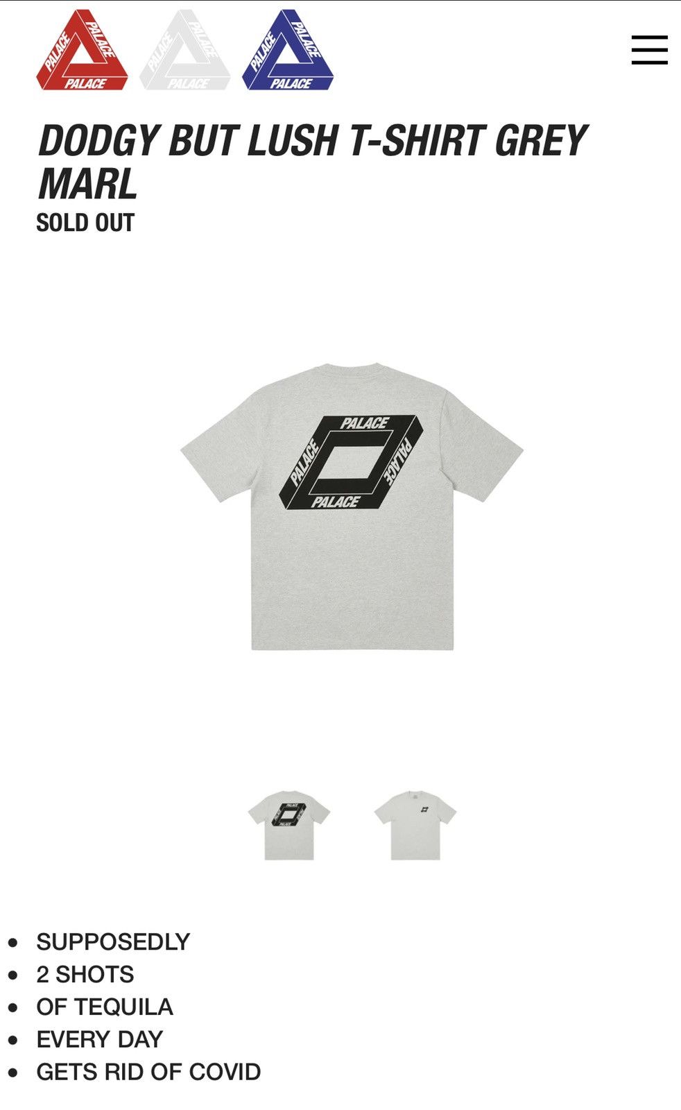 Palace Palace DODGY BUT LUSH T-SHIRT GREY MARL - Small Size US S / EU 44-46 / 1 - 1 Thumbnail