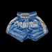 Human Made Human Made Dry Alls Muay Thai Shorts Size US 30 / EU 46 - 1 Thumbnail