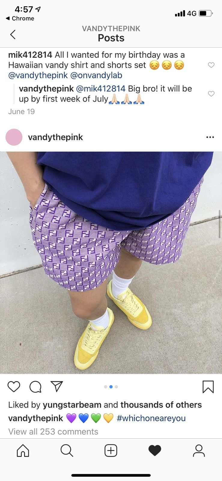 vandy the pink FANCY SHORTS purple L NEW
