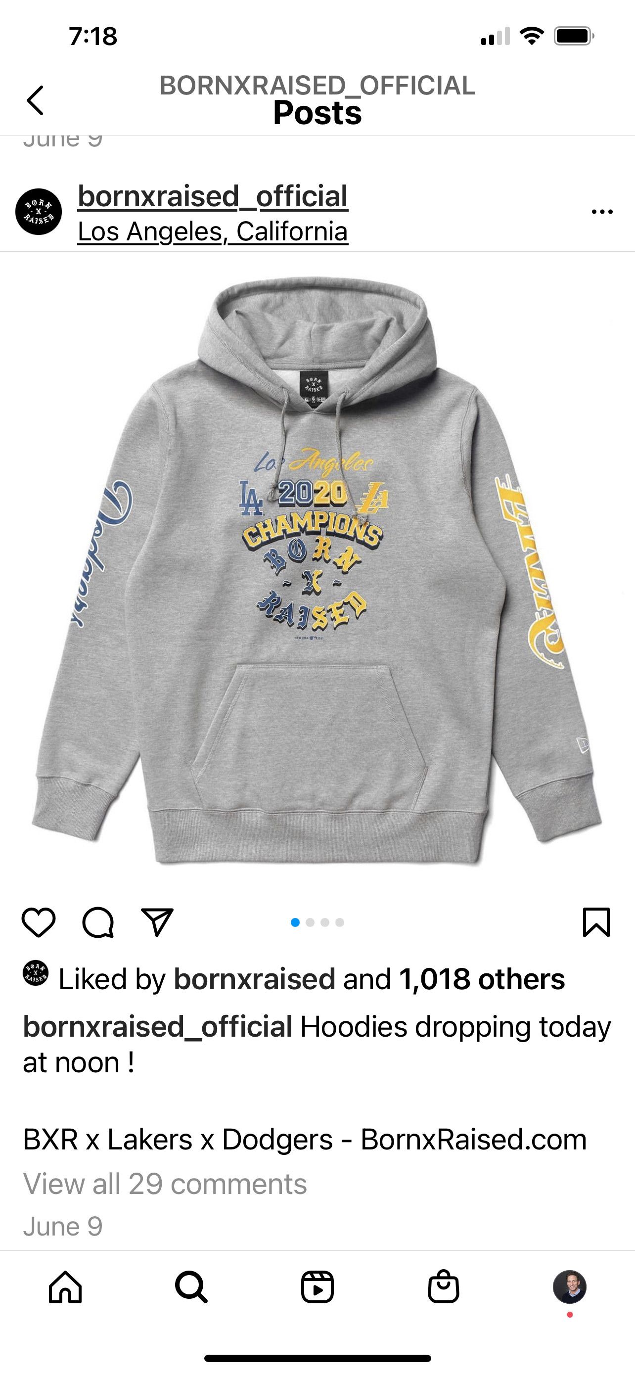 Los Angeles Champions Born X Raised Dodgers Hoodie