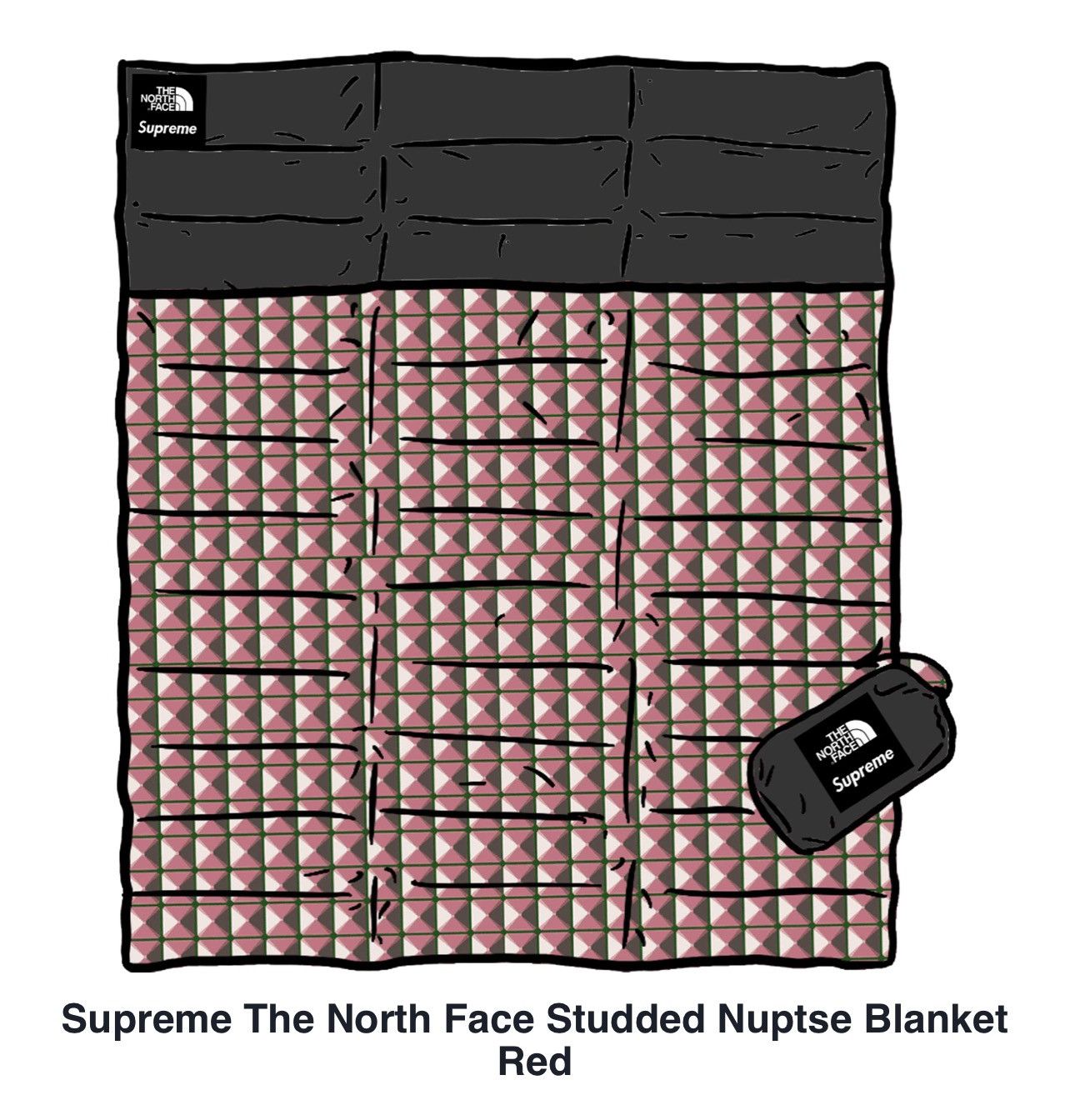 Supreme North Face Blanket | Grailed