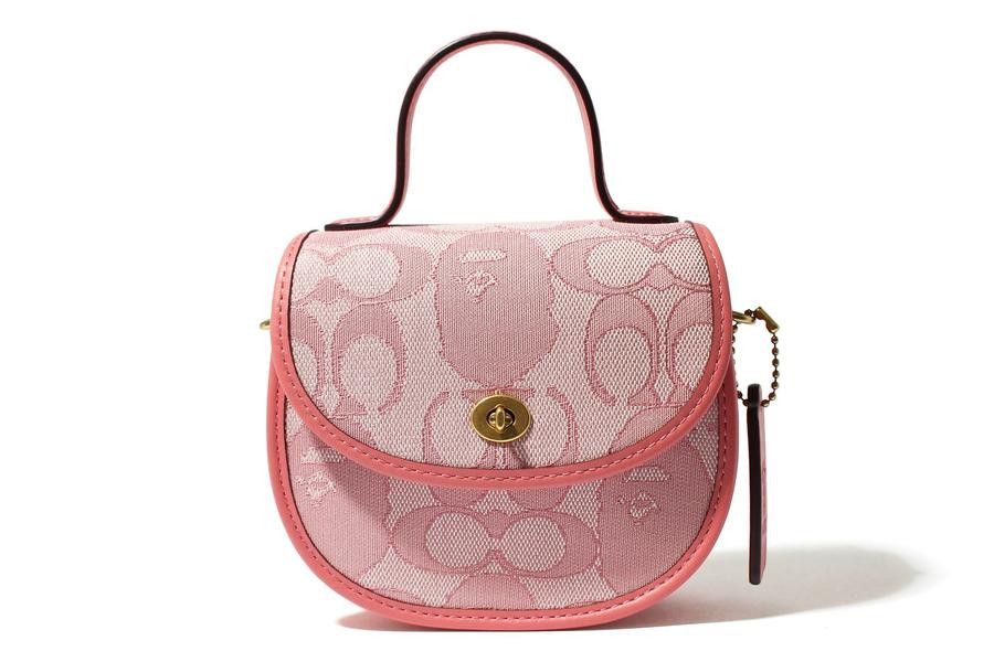 Bape X Coach Purse | Grailed