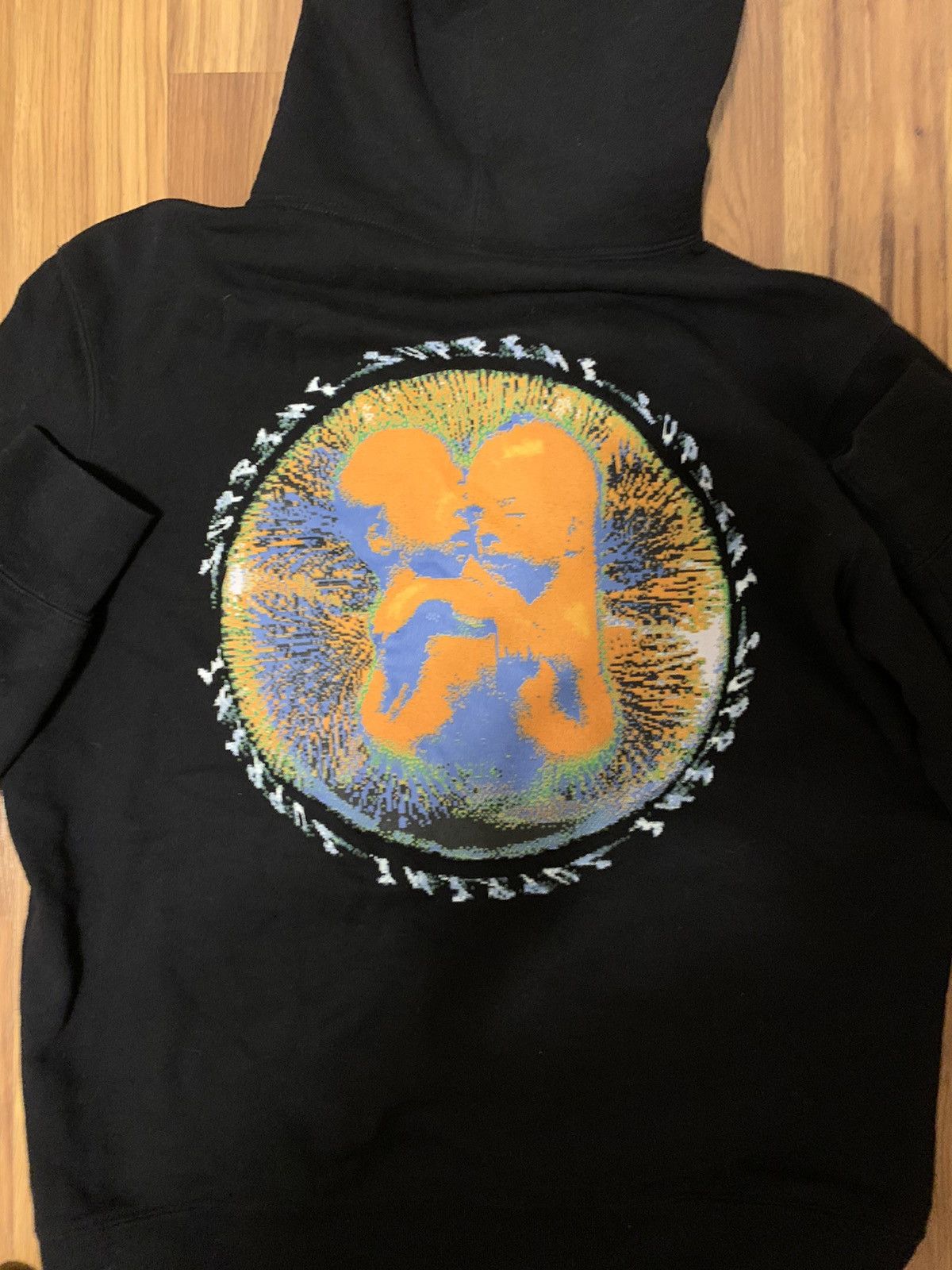 Supreme Embryo Hoodie SS20