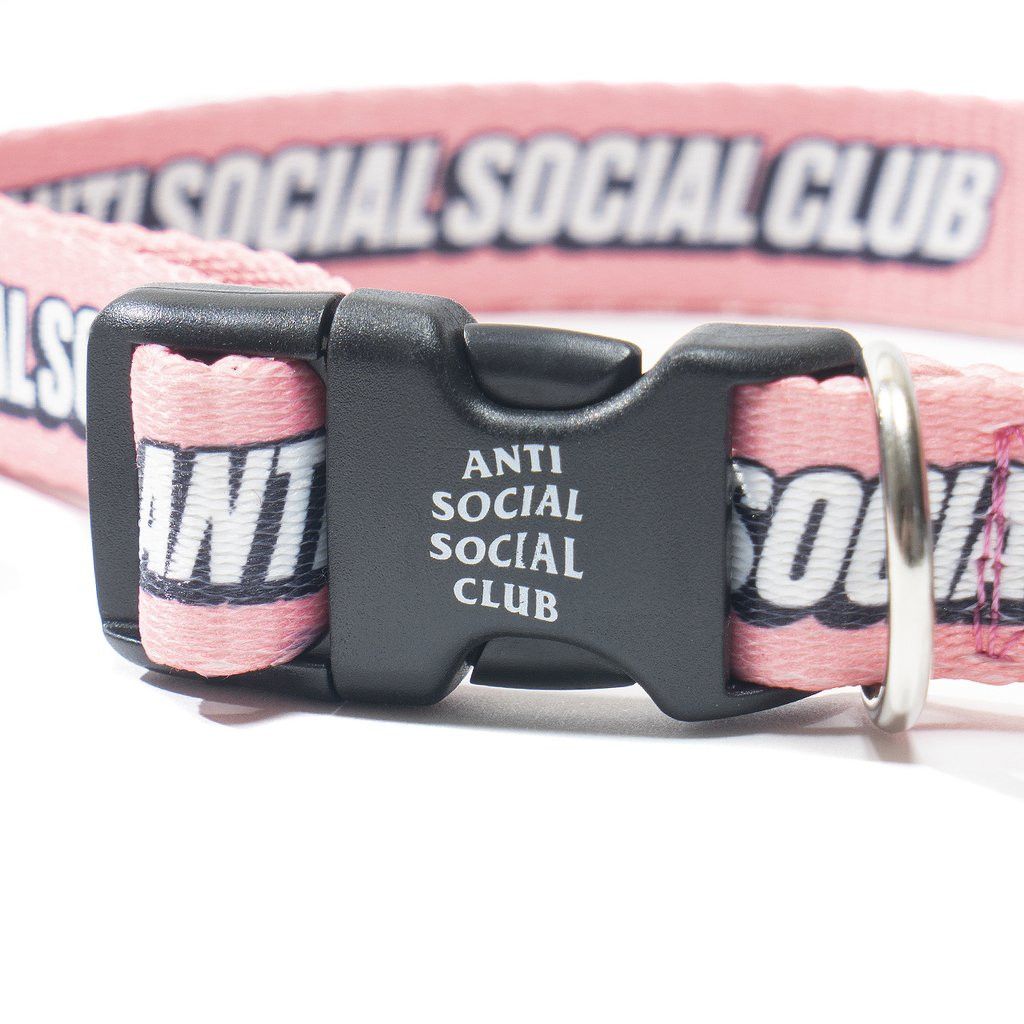 Anti Social Social Club DS ASSC Blocked White Logo VVS Pink Dog Pet Collar BAPE FOG Size ONE SIZE - 4 Thumbnail