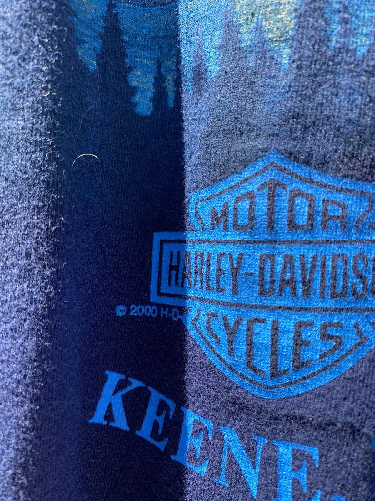 Harley Davidson × Vintage Vintage 2000 Harley Davidson Dragon 🐉/ XL Size US L / EU 52-54 / 3 - 9 Thumbnail