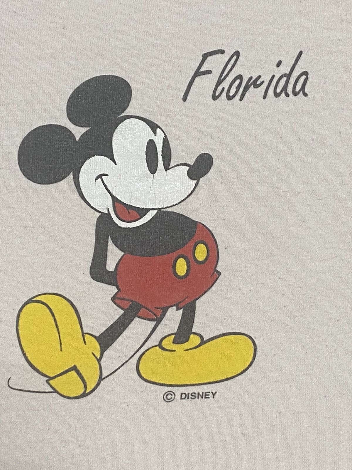 Disney Vintage 90s Disney Mickey Mouse Florida Tee Size US L / EU 52-54 / 3 - 2 Thumbnail