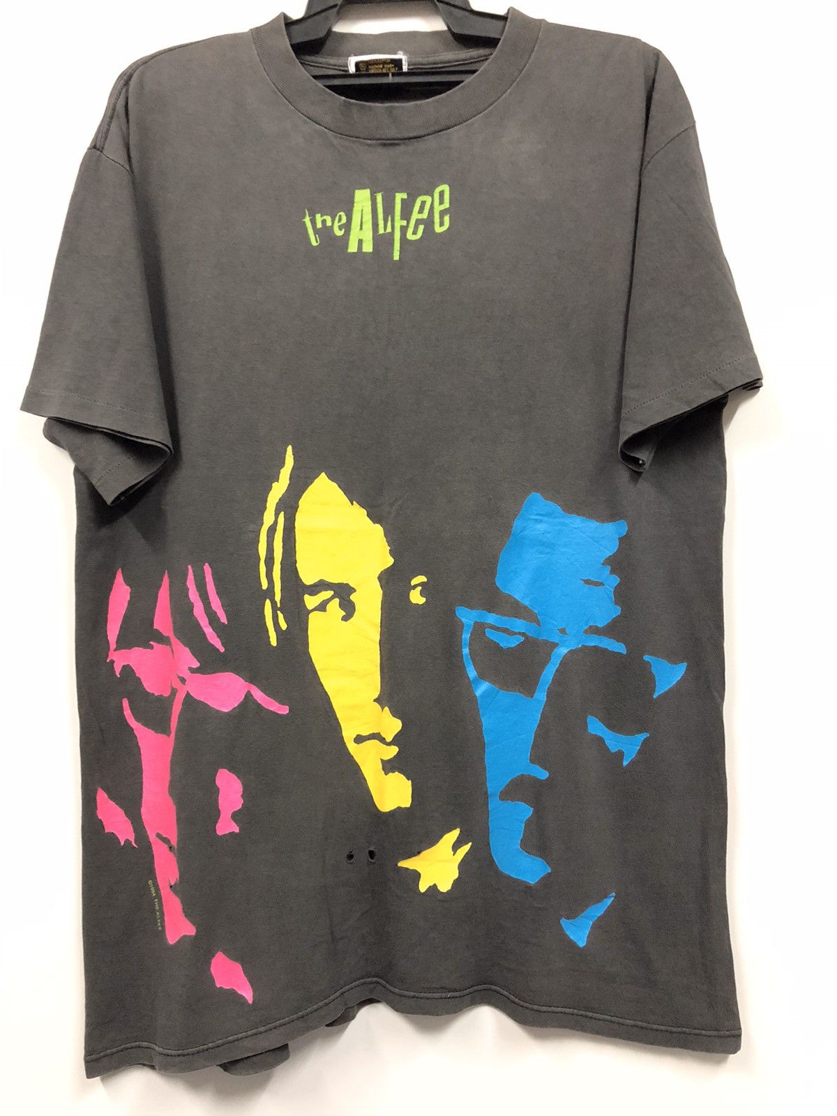 THE ALFEE Tシャツ（グレー） その他ブランド(ソノタブランド) / 90s