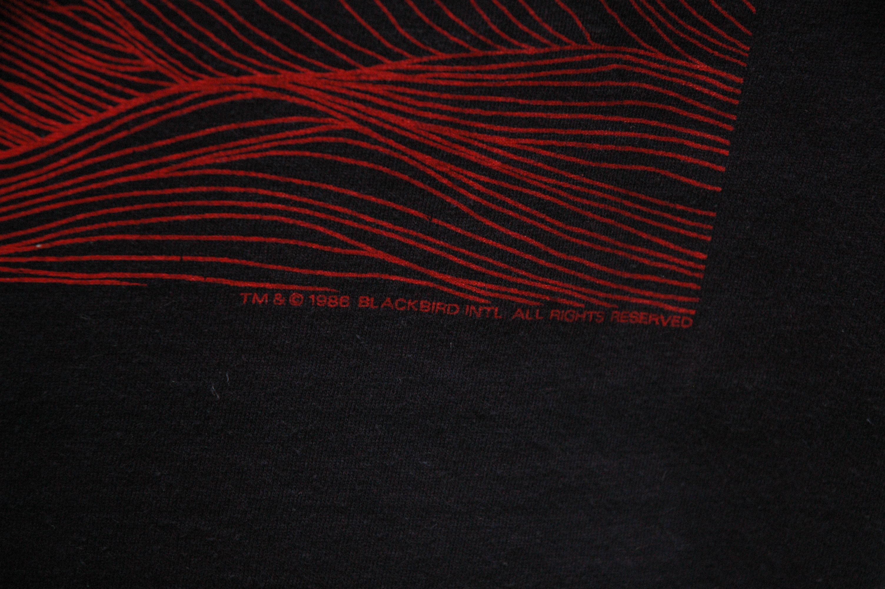 Champion 1986 Champion Vintage Made in USA x Tuff Ones Blackbird Size US M / EU 48-50 / 2 - 7 Thumbnail