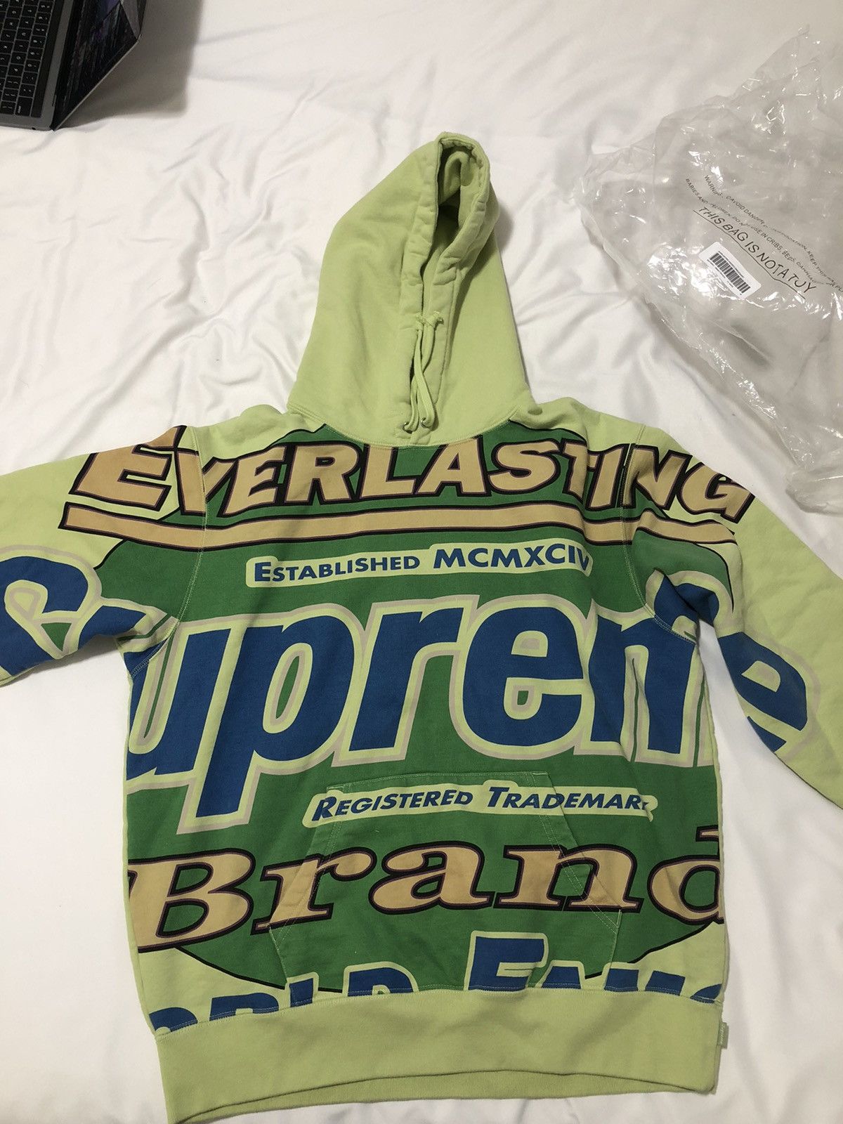 Supreme Everlasting Supreme Hoodie (SAGE) Size US M / EU 48-50 / 2 - 3 Thumbnail