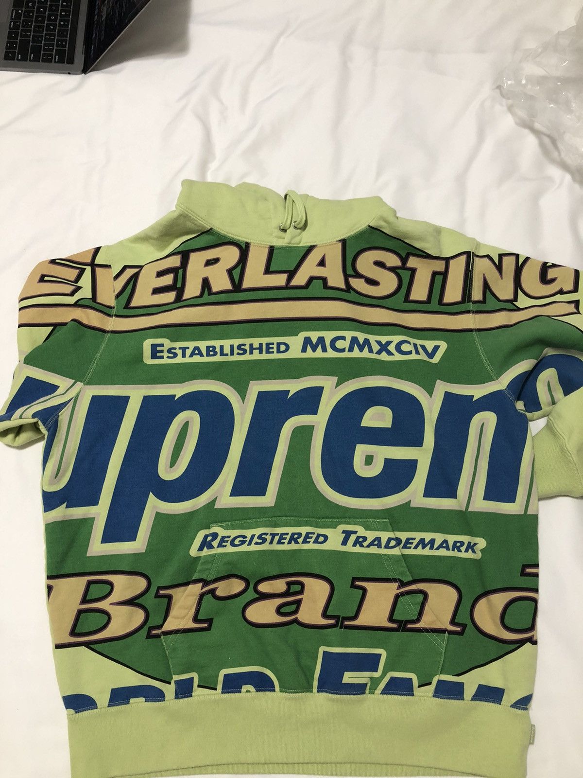 Supreme Everlasting Supreme Hoodie (SAGE) Size US M / EU 48-50 / 2 - 2 Thumbnail