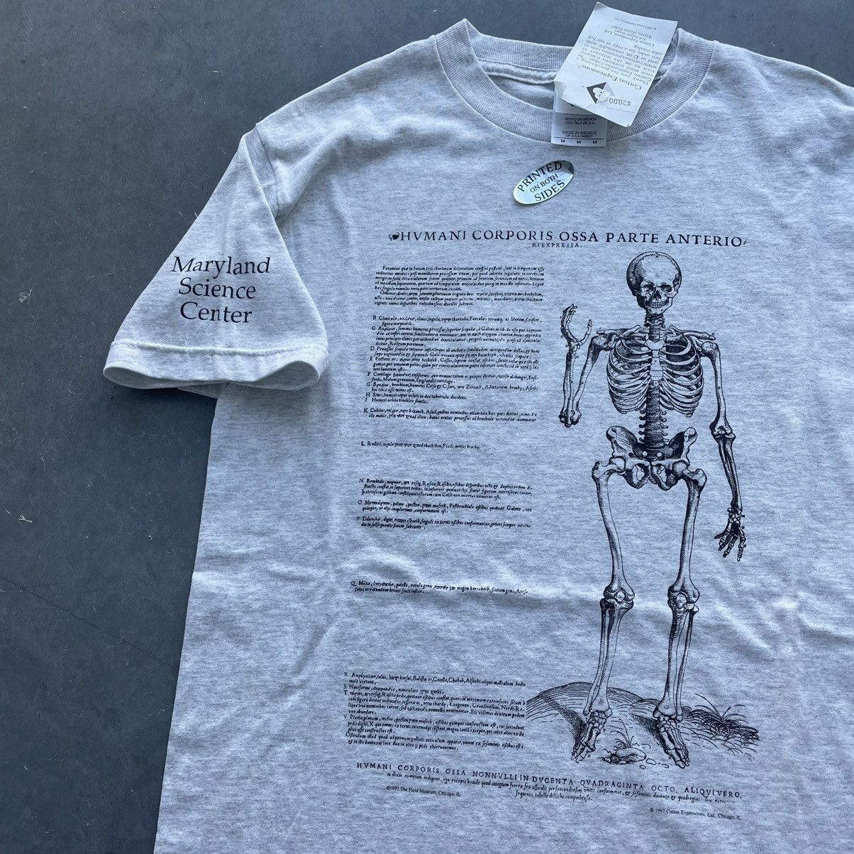 Vintage VTG 90s Anatomy Skeleton Graphic T Shirt Science Medium | Grailed