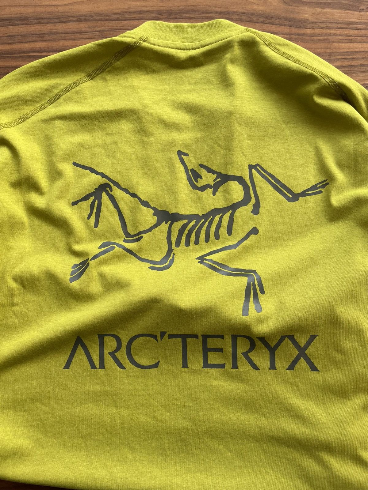 Arc'Teryx COPAL BIRD T-SHIRT LS MEN'S arcteryx | Grailed