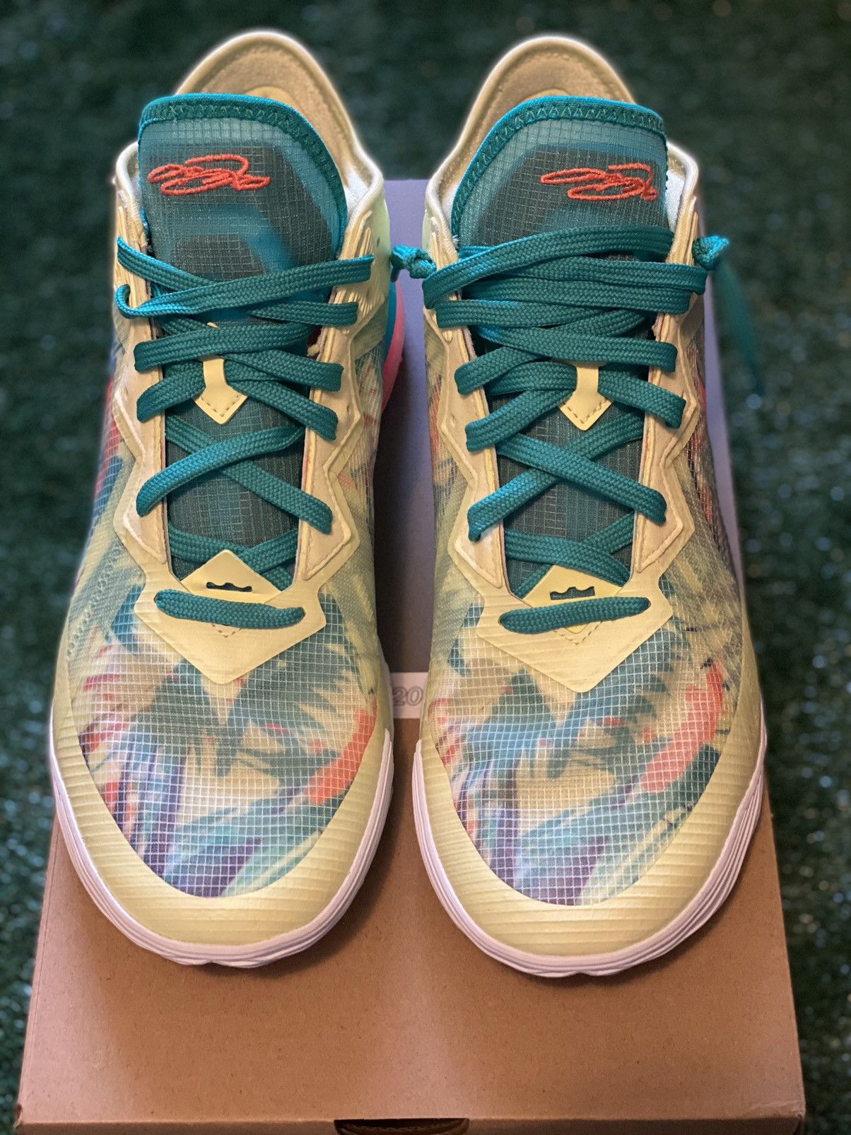 lebronald palmer 18
