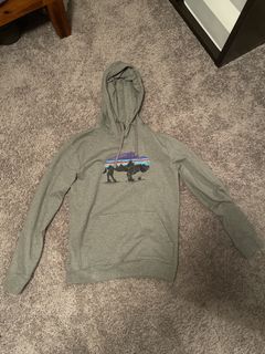 Patagonia men's fitz roy bison uprisal hoodie hot sale