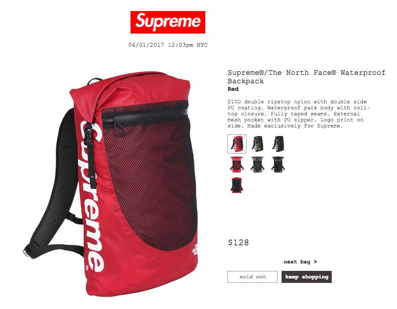 Supreme The North Face Waterproof Backpack (Red)