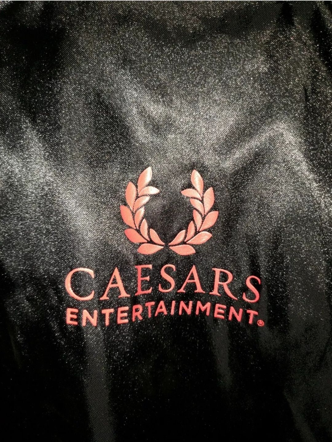 Augusta Sportswear NWOT Augusta Sportswear LG Caesars Entertainment Jkt Size US L / EU 52-54 / 3 - 2 Thumbnail