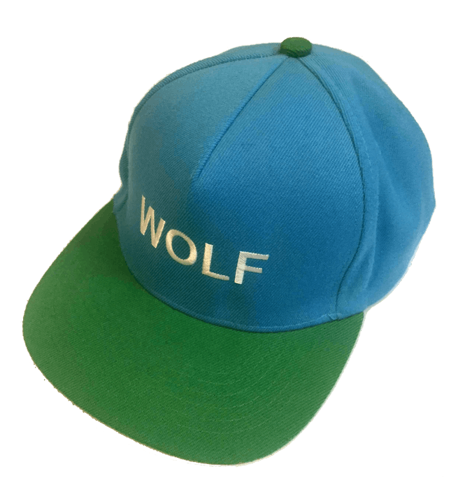 Odd Future OFWGKTA Golf Wang WOLF Hat Tyler the Creator Album Cap | Grailed