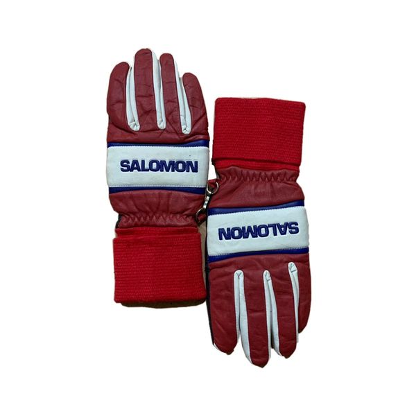 Ski cheap gloves salomon