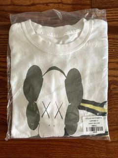 Travis Scott Cactus Jack Kaws For Fragment T-shirt, hoodie