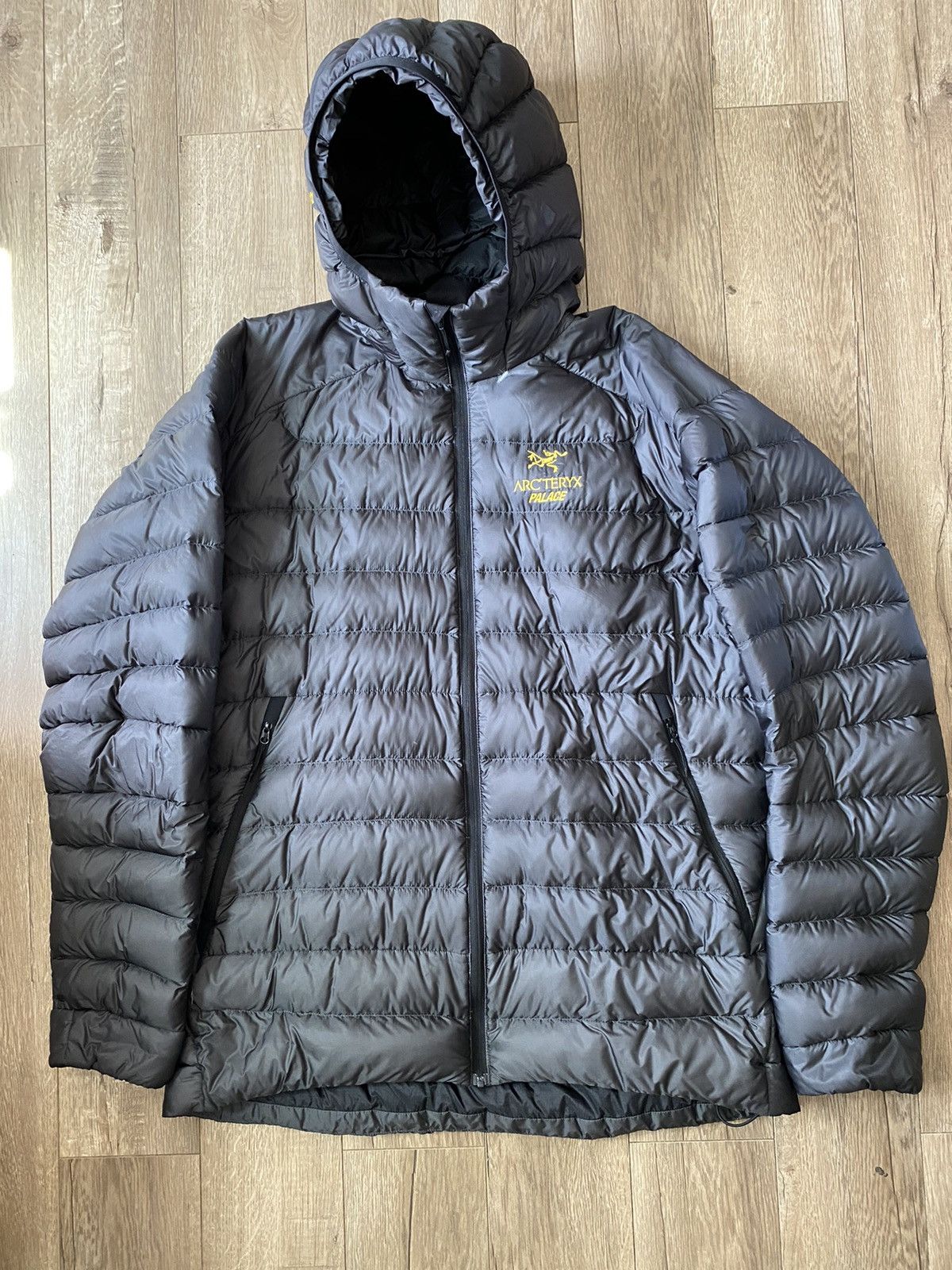 Arc'Teryx Palace Arcteryx Cerium LT Hoodie | Grailed