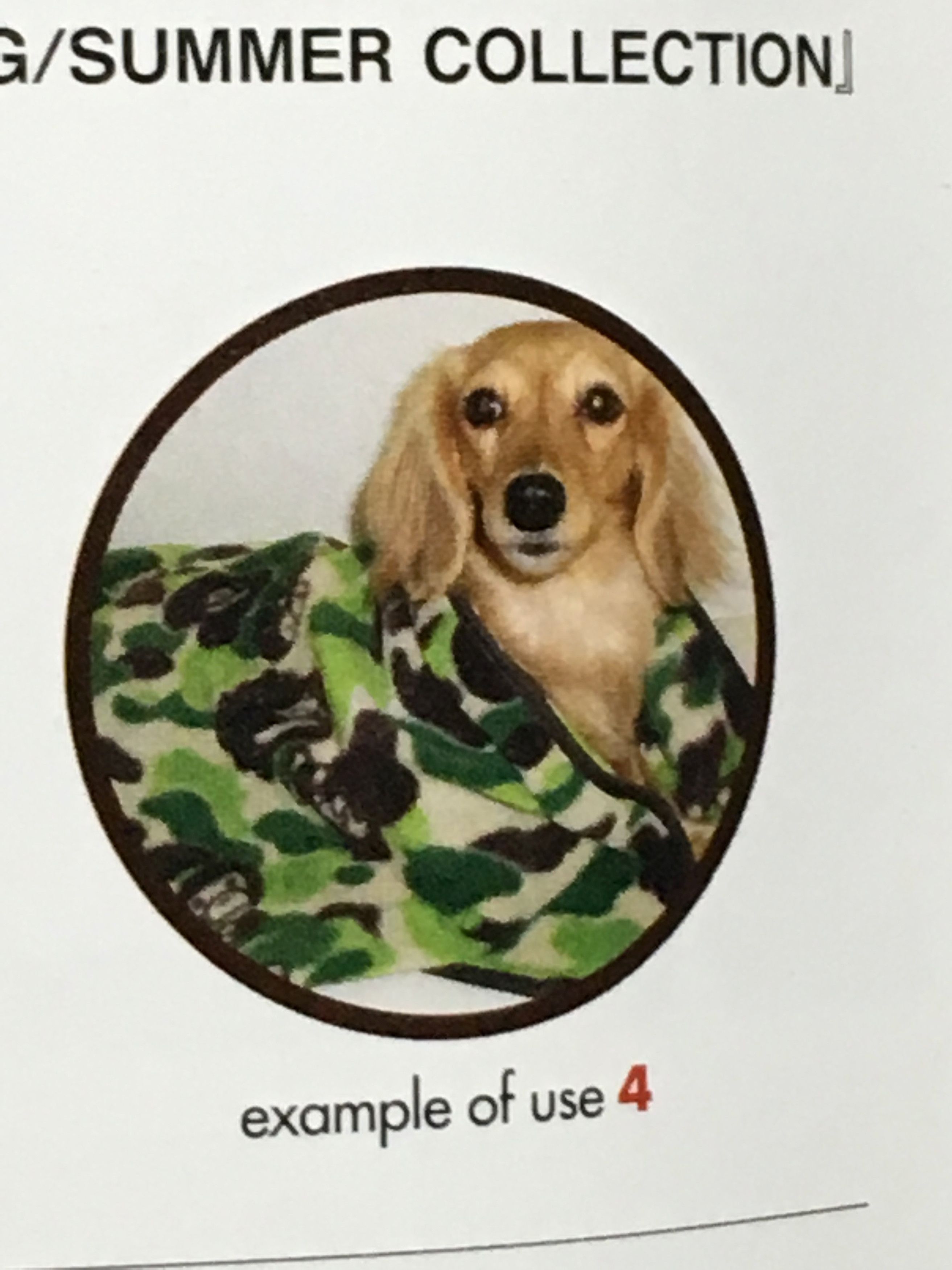 Bape 🔥 BAPE Mini Blanket Green Camo Fleece A Bathing Ape kaws Size ONE SIZE - 9 Thumbnail