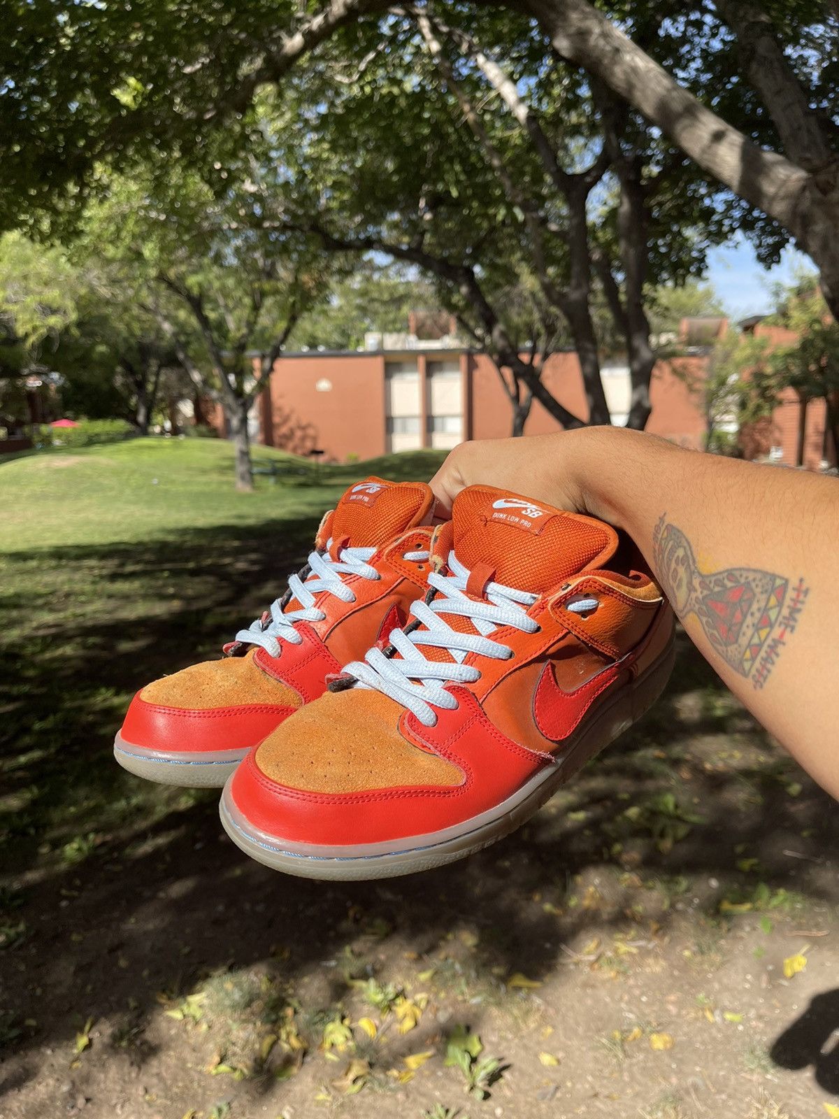 Nike Dunk Low Pro SB Fire Ice 2013 Grailed