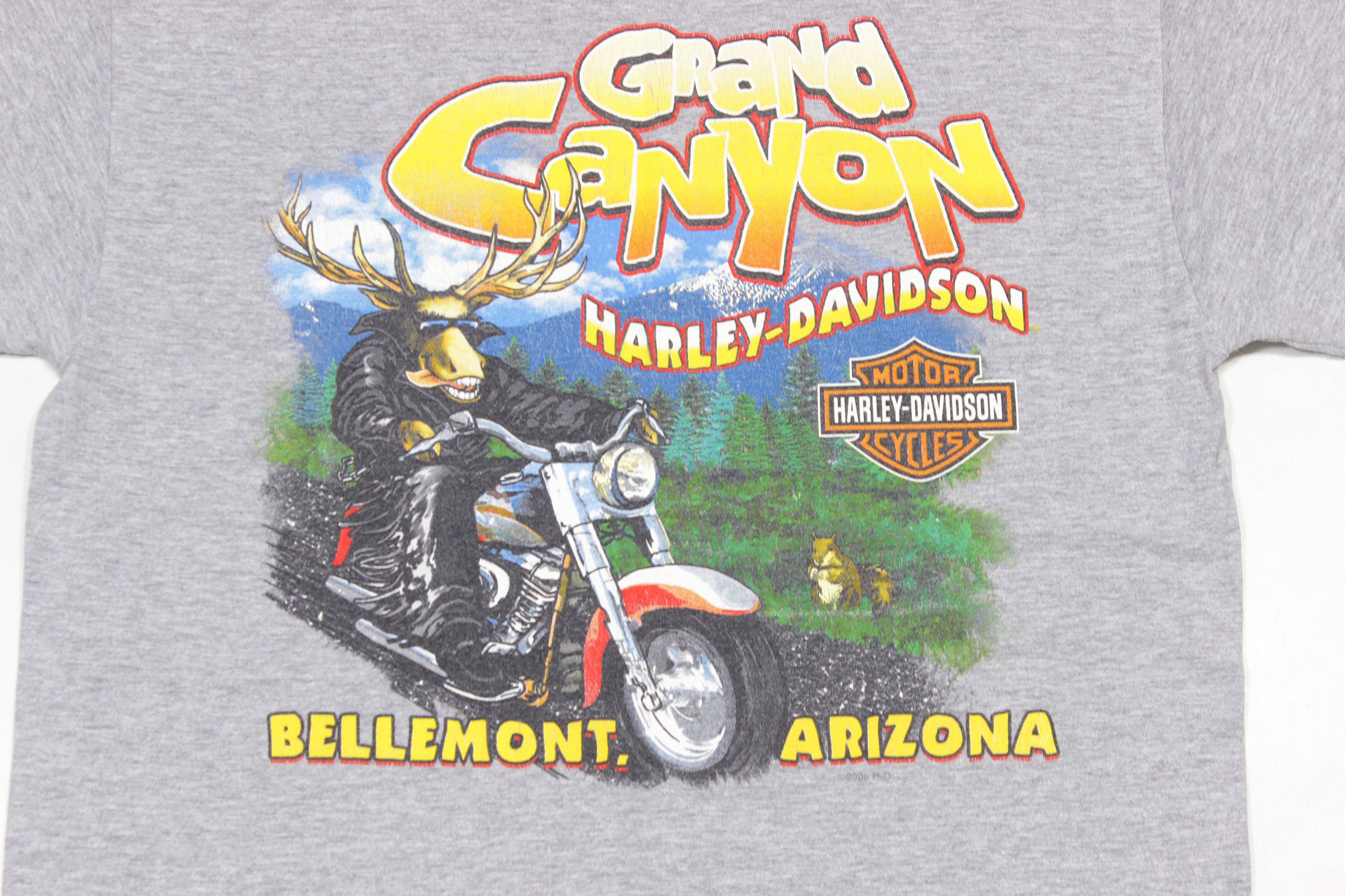 Harley Davidson 2006 Arizona Grand Canyon T-Shirt Size US M / EU 48-50 / 2 - 3 Thumbnail