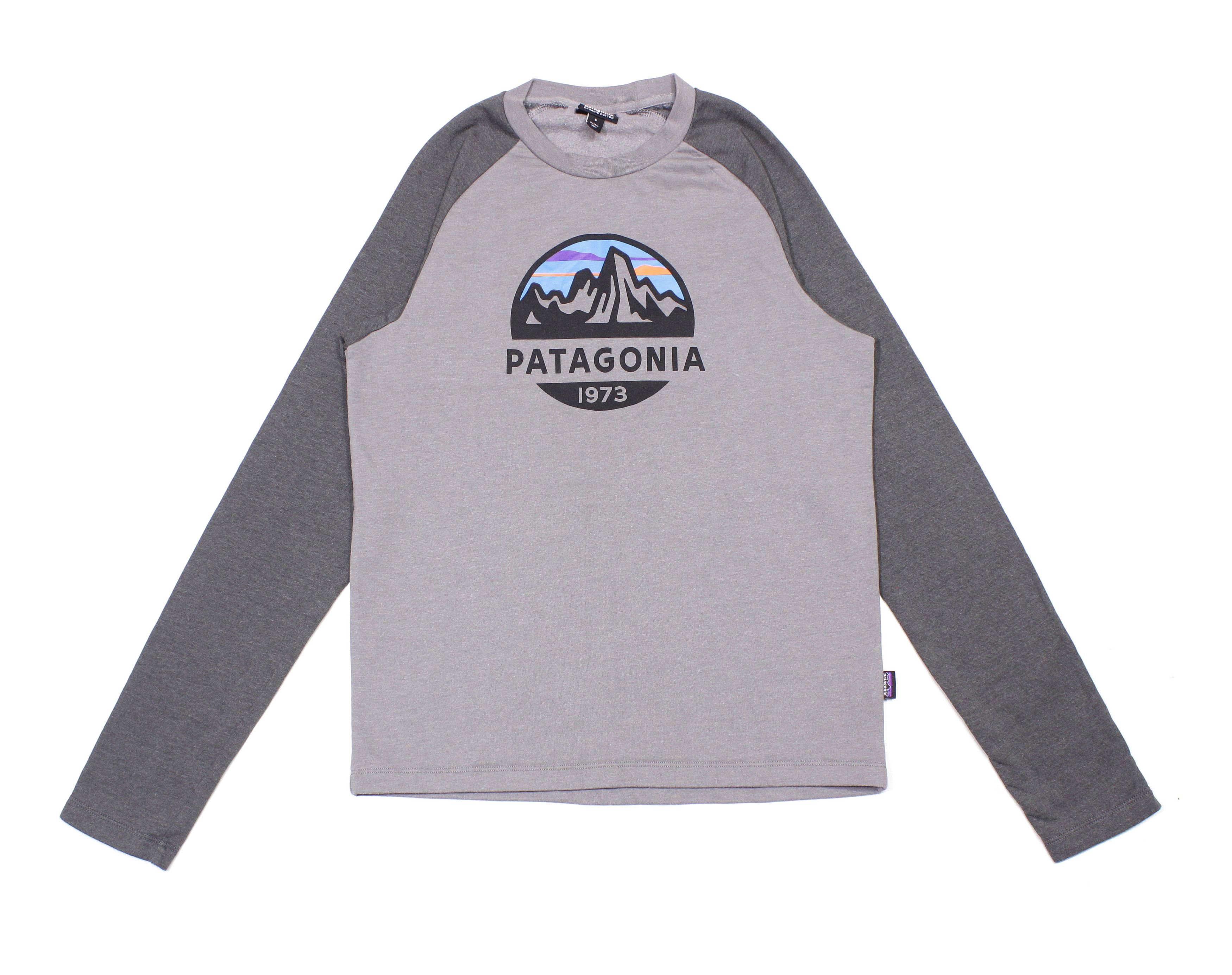 Patagonia Big Logo Organic Cotton Longsleeve Size US S / EU 44-46 / 1 - 1 Thumbnail
