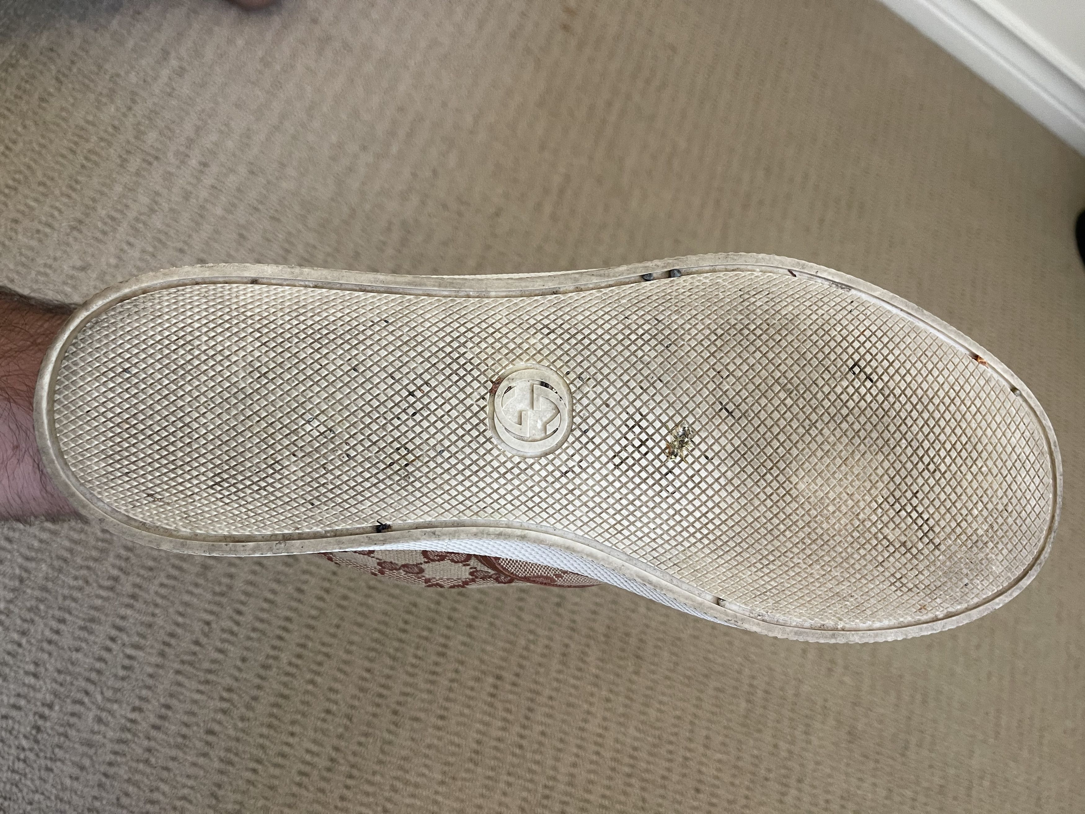 Gucci Supreme slip on Size US 9.5 / EU 42-43 - 14 Thumbnail