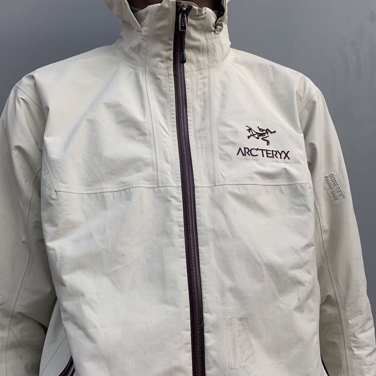 Arc'Teryx Arcteryx Gore-Tex Paclite Jacket wmns SZ L | Grailed