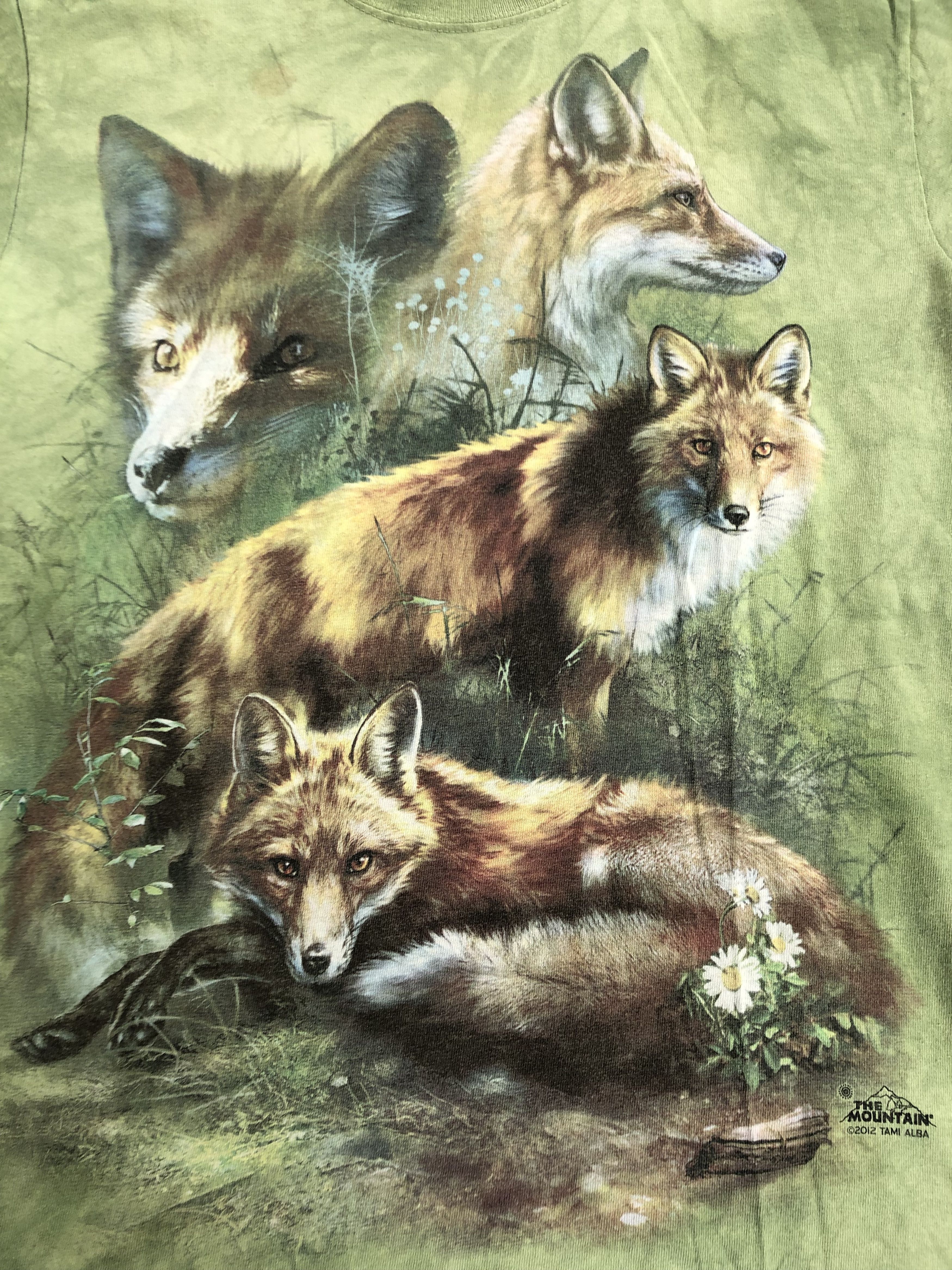 The Mountain Vintage 2012 The Mountain Fox Tami Alba tie dye t-shirt Size US S / EU 44-46 / 1 - 2 Thumbnail