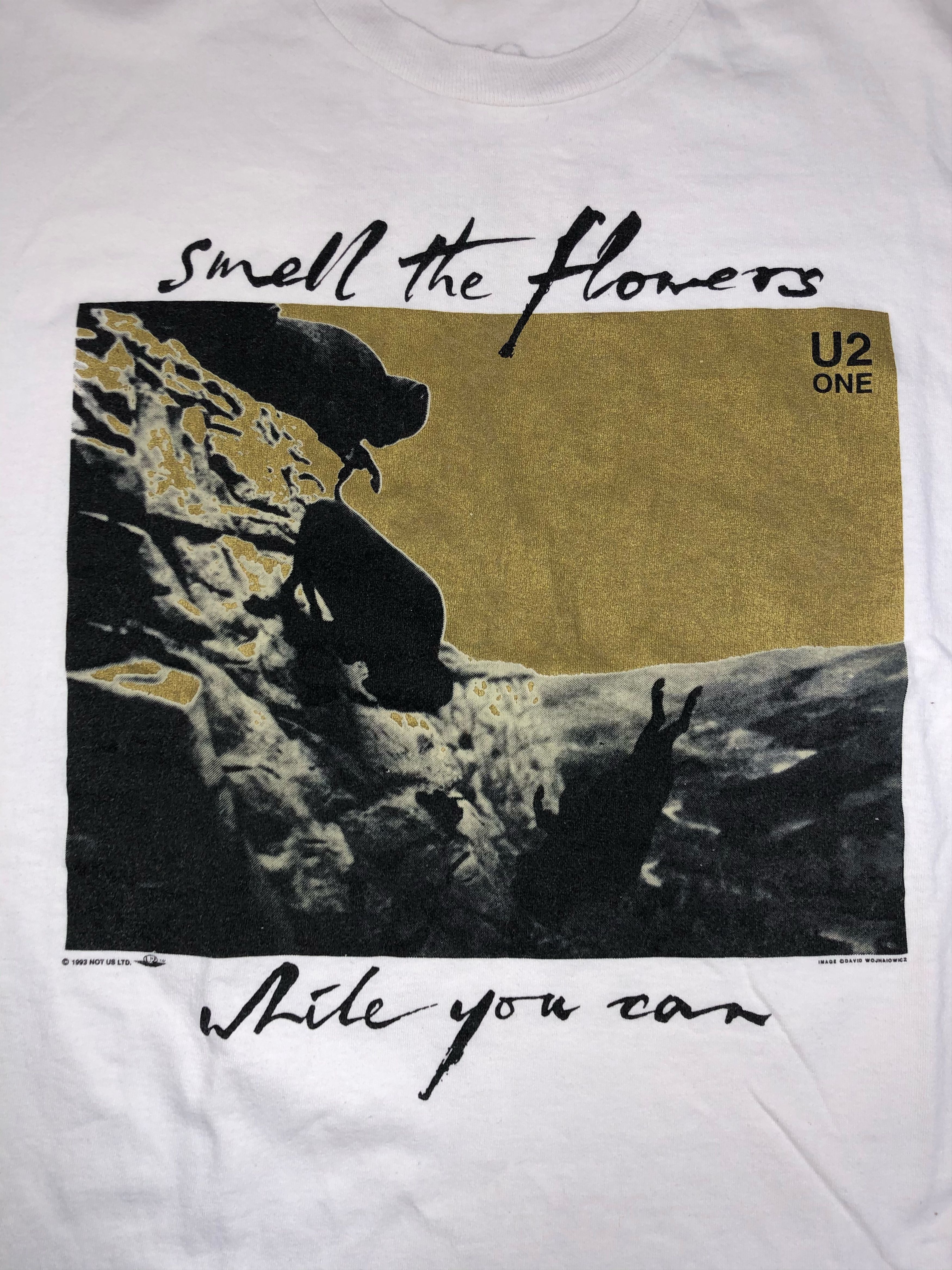 Band Tees Vintage 1993 U2 One Single Stitch (Pink Floyd Bon Jovi) Size US XL / EU 56 / 4 - 5 Thumbnail