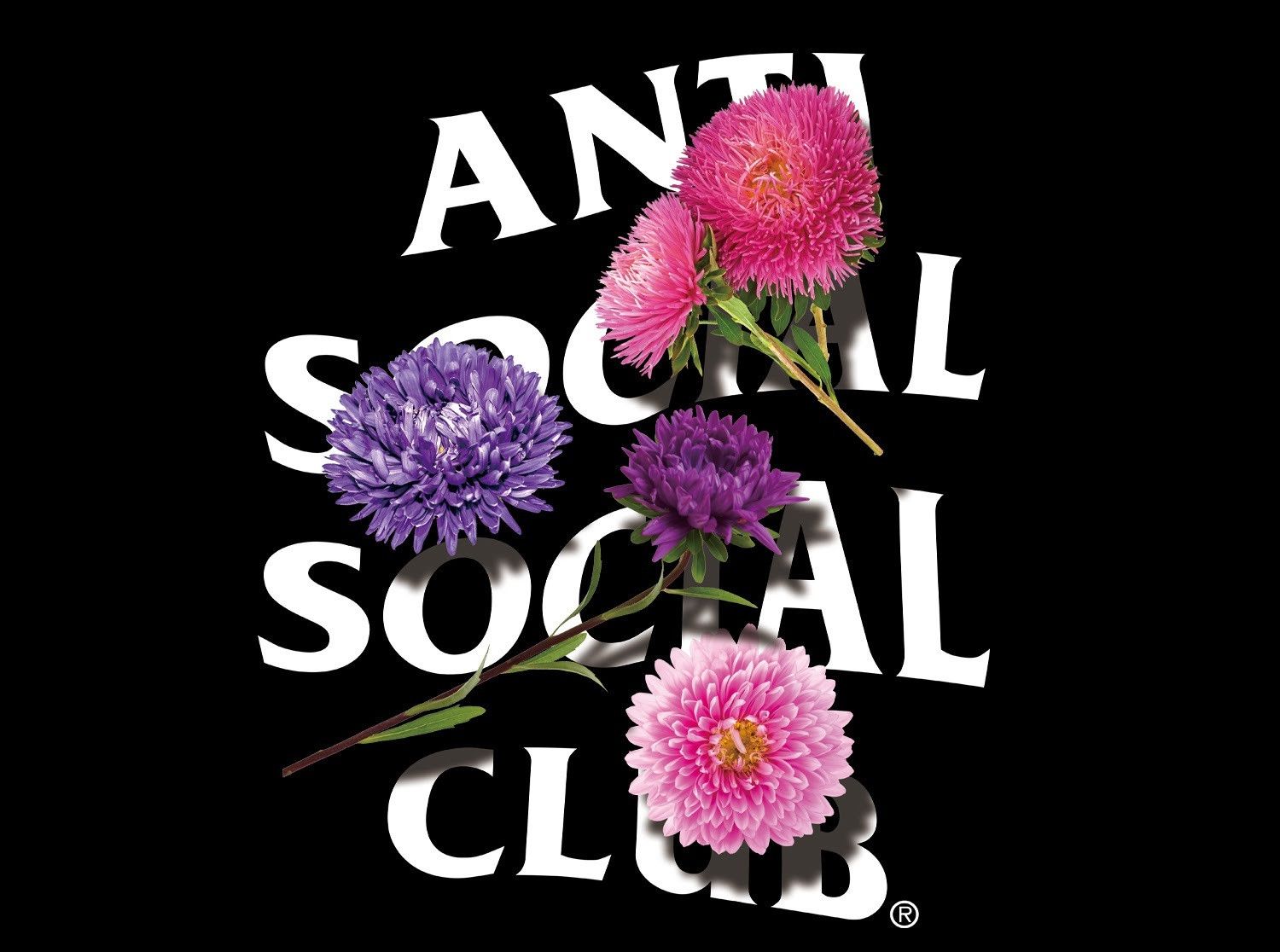 Anti Social Social Club × Members Only DS WEekly ASSC Broken Vase Black Tee BAPE KITH FTP FOG CDG Size US XL / EU 56 / 4 - 3 Thumbnail