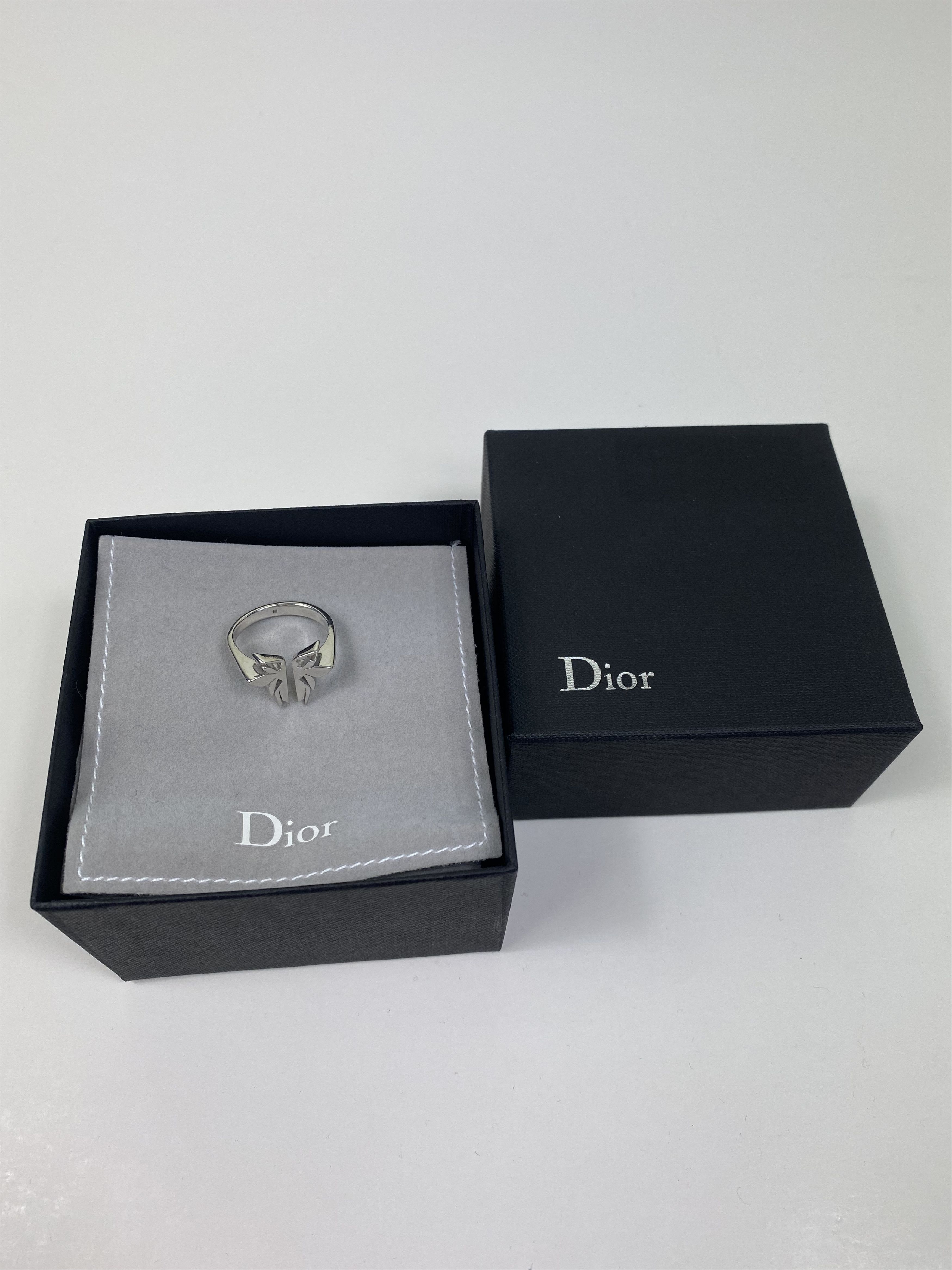 Dior × Hedi Slimane Dior Homme By Hedi Slimane Silver Bee