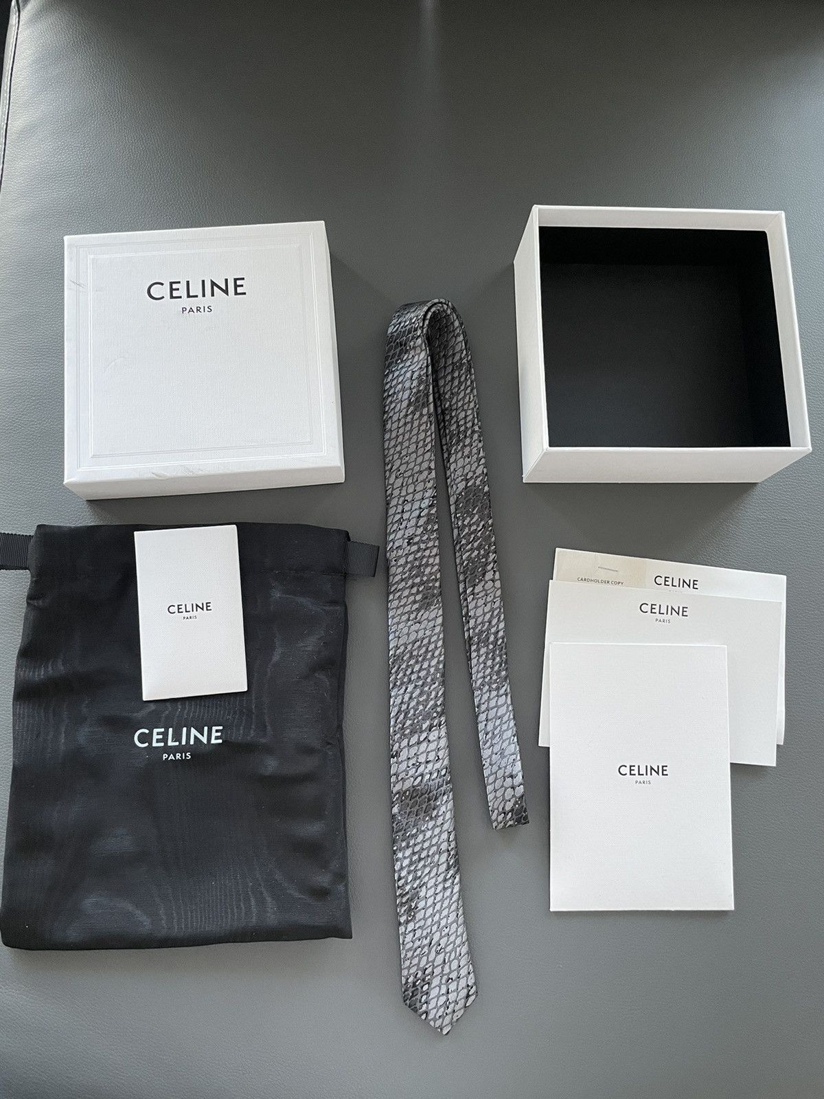 Celine × Hedi Slimane HEDI Runway Limited Edition Python Print Silk Tie Brand NEW Size ONE SIZE - 1 Thumbnail