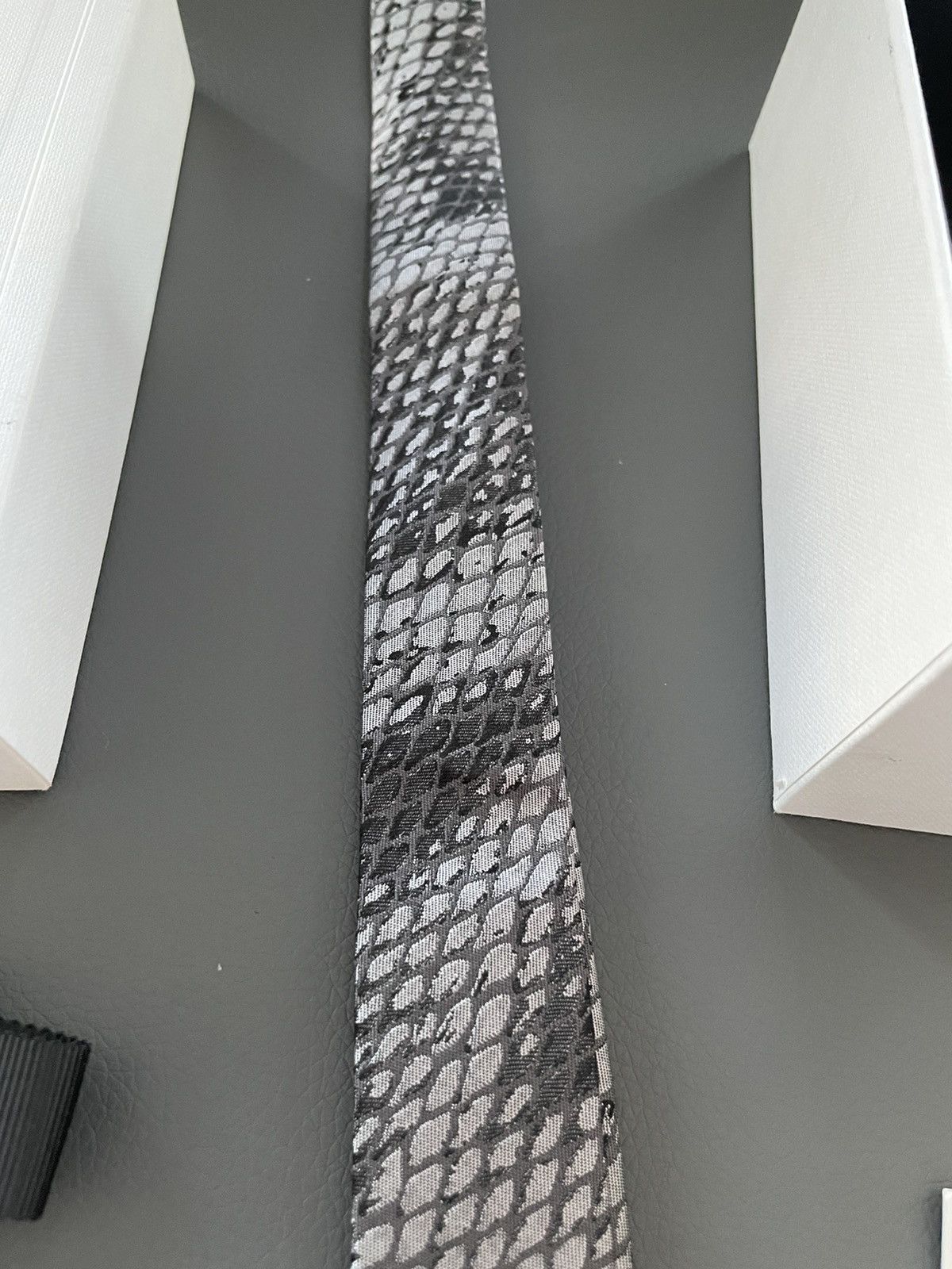 Celine × Hedi Slimane HEDI Runway Limited Edition Python Print Silk Tie Brand NEW Size ONE SIZE - 11 Thumbnail