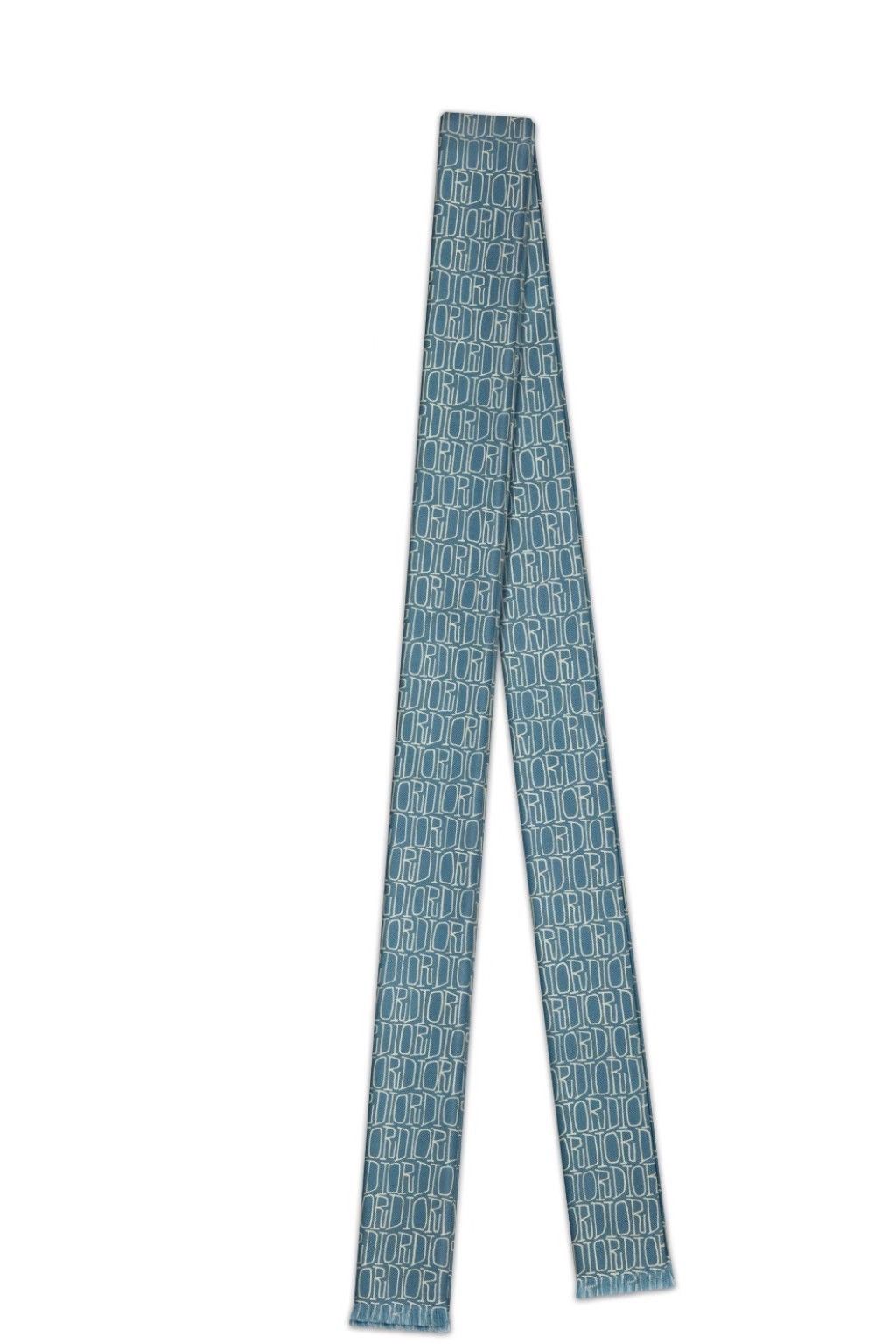 Dior Extremely Rare Runway Dior x Shawn Fluid Logo Silk Tie Size ONE SIZE - 3 Thumbnail